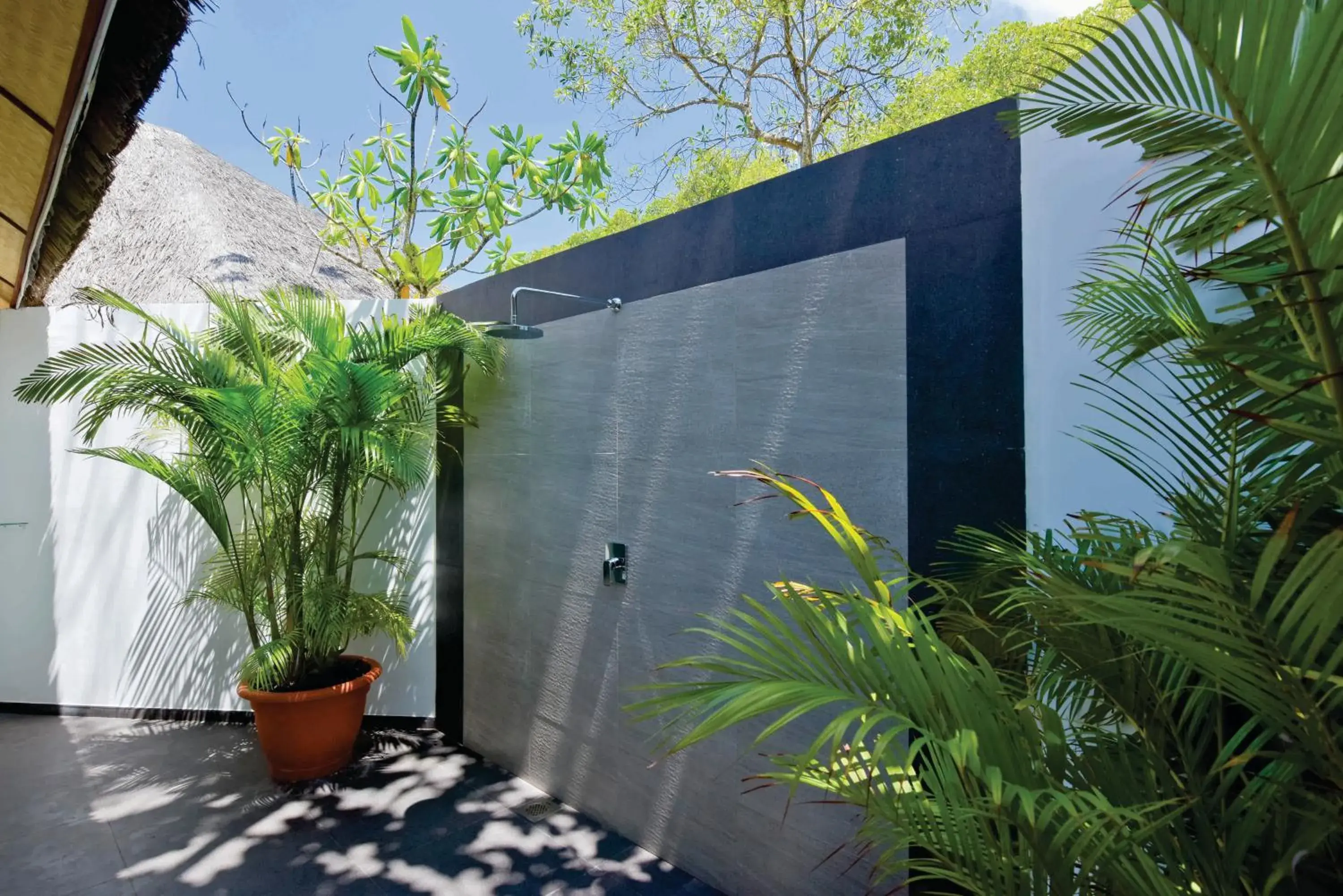 Bathroom in Dreamland Maldives Resort Bathroom in Dreamland Maldives Resort