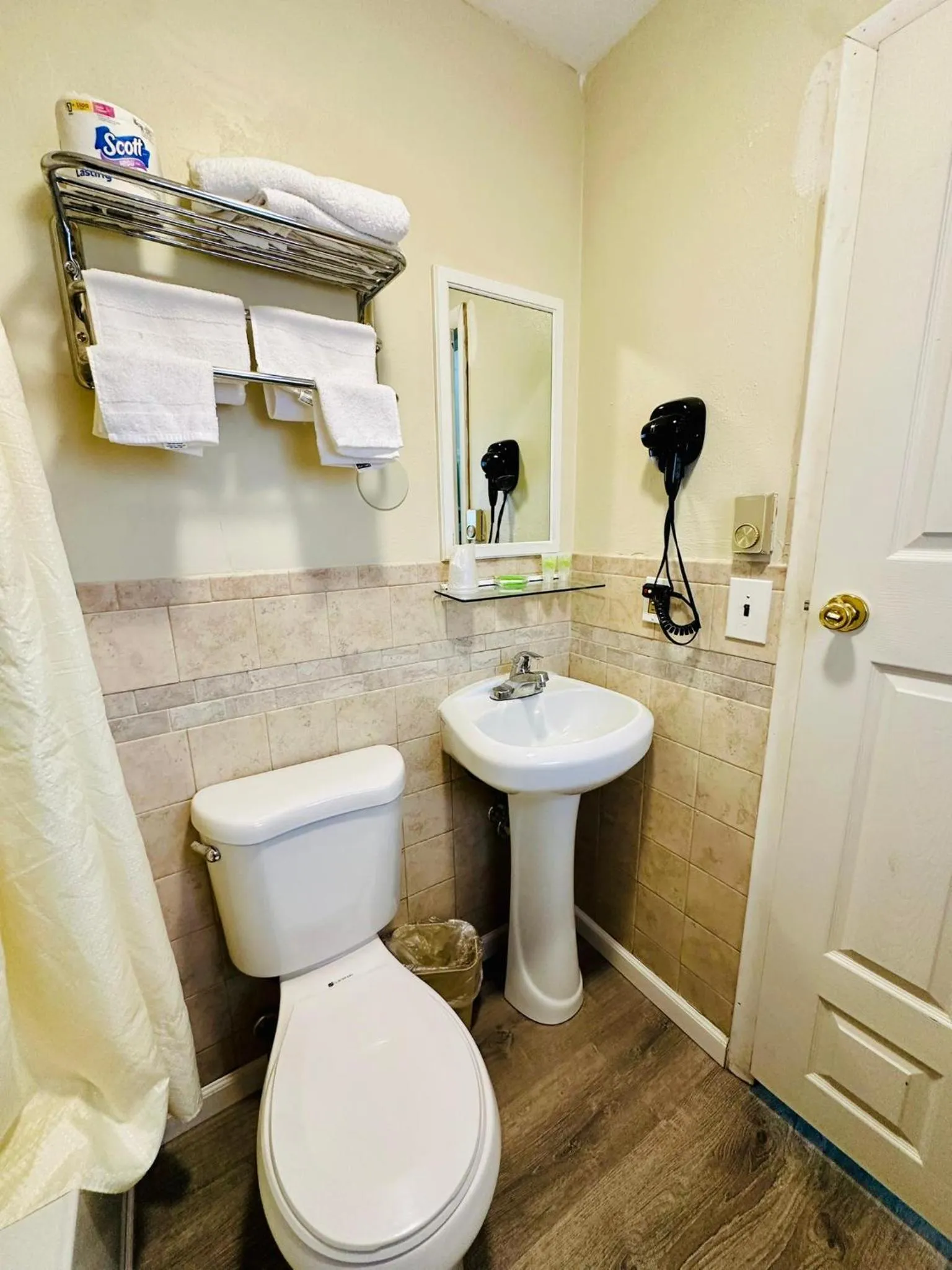 Toilet in Hampton Motor Inn