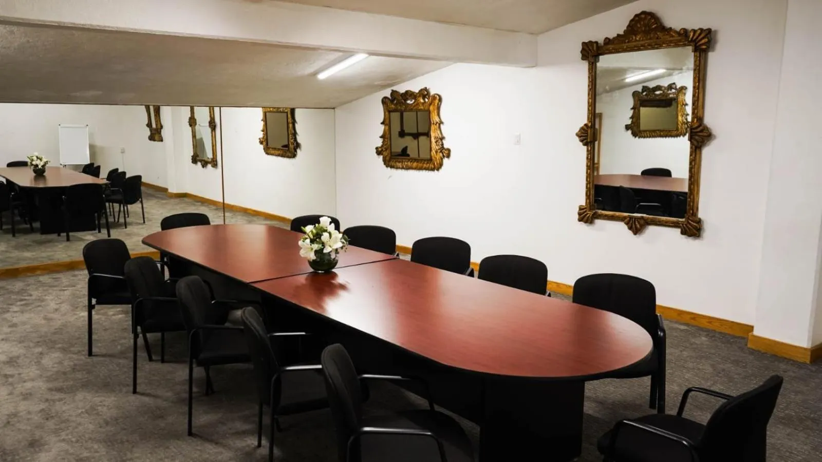 Meeting/conference room in Hotel Laffayette Ejecutivo