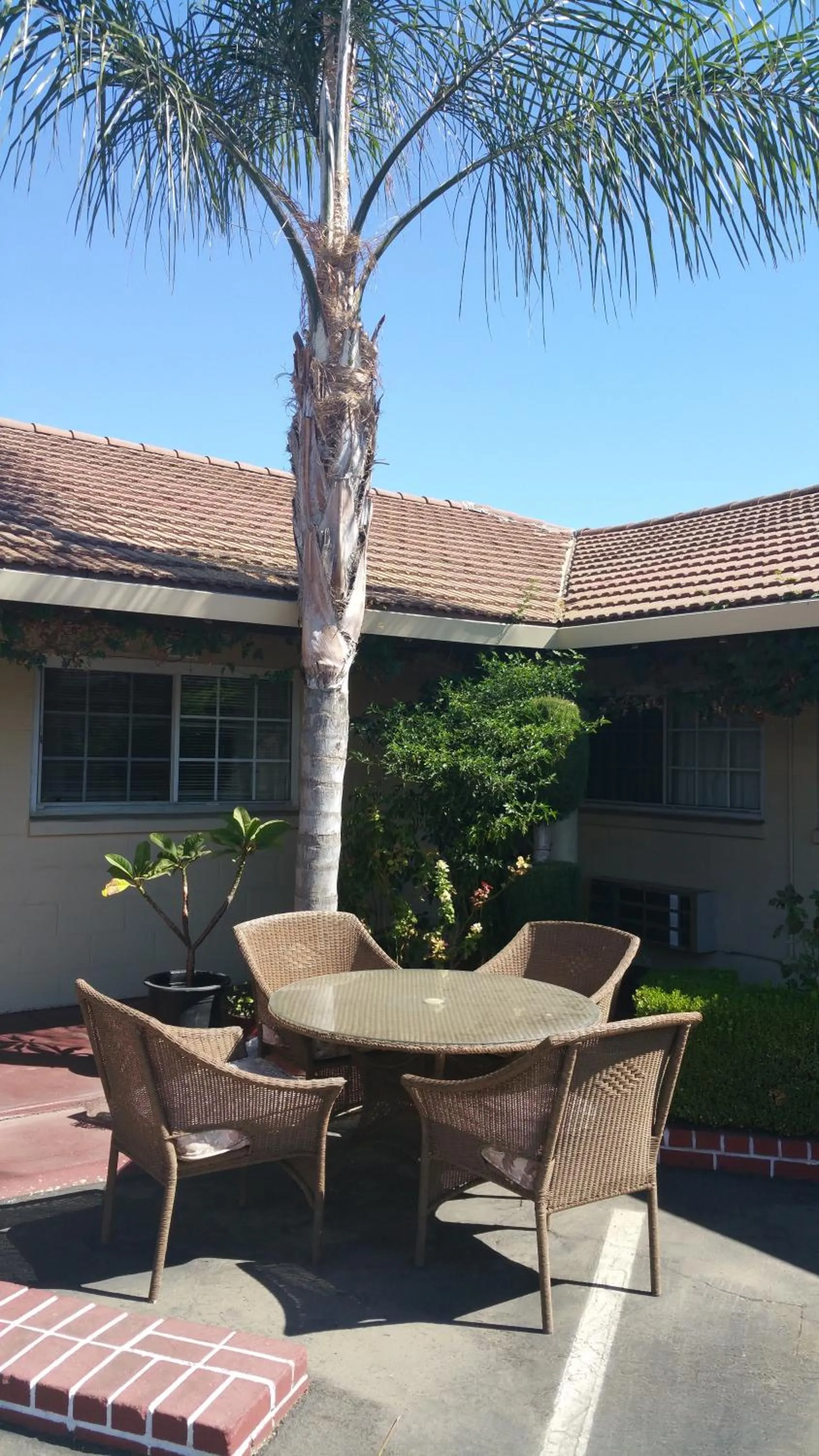 Patio in San Joaquin Motel