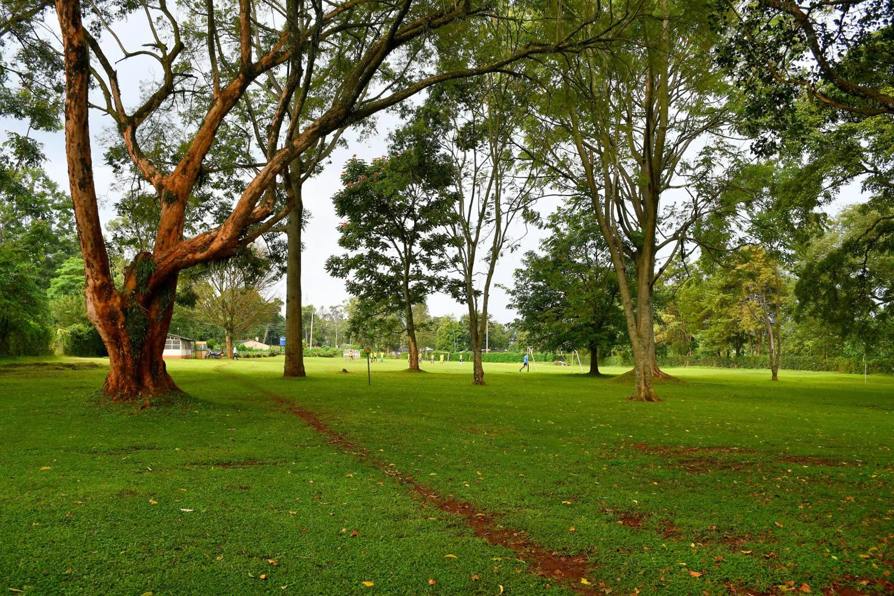 Garden view in Golf Hotel Kakamega