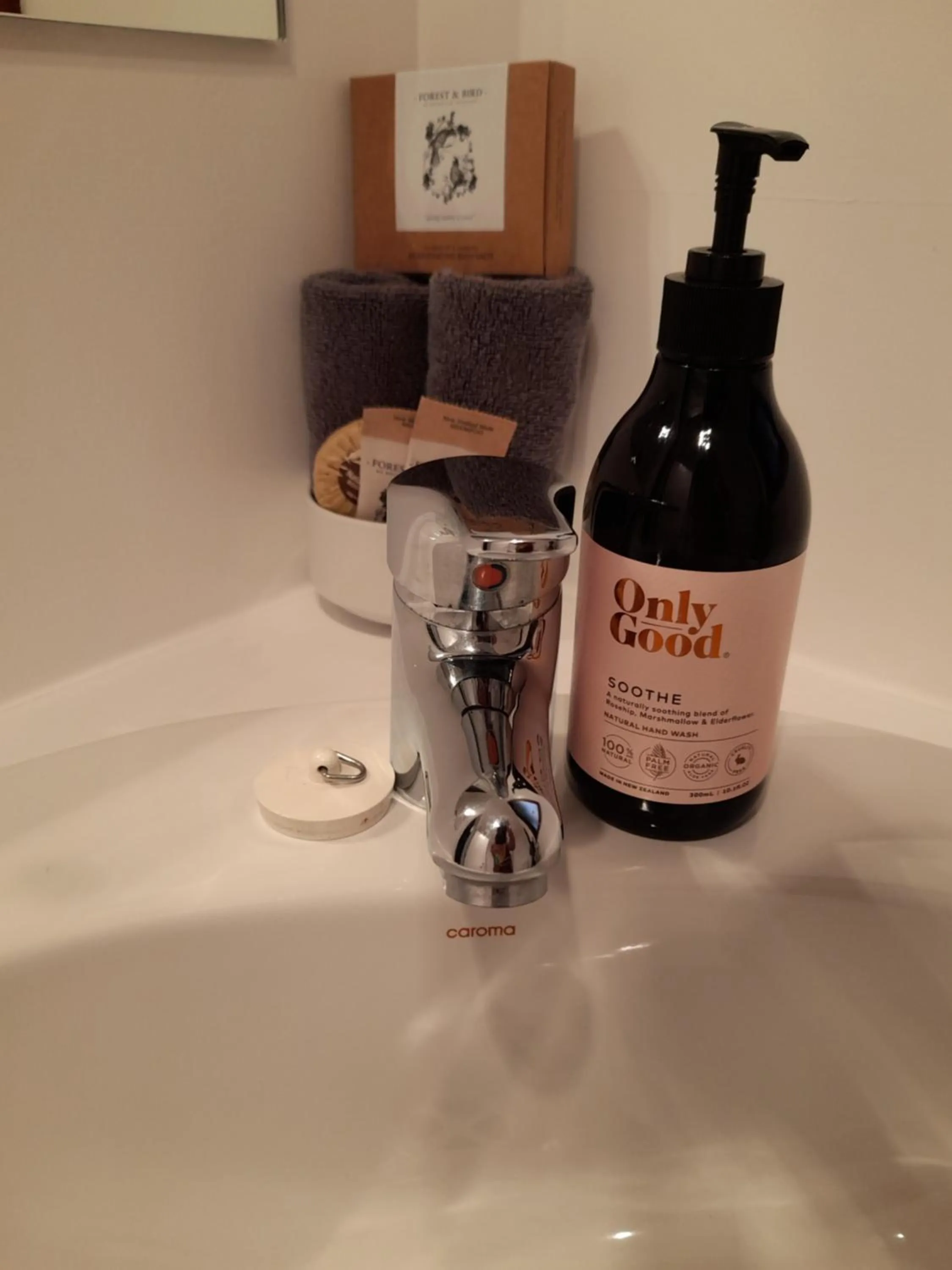 Bathroom in Lake Matheson Motel