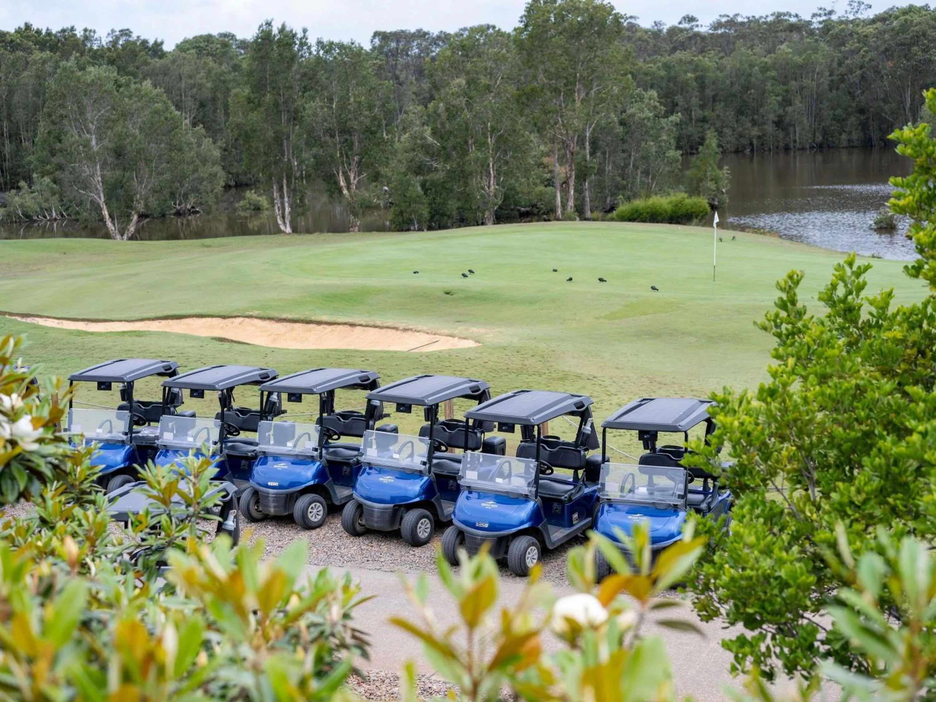 Golfcourse in Mercure Kooindah Waters Central Coast