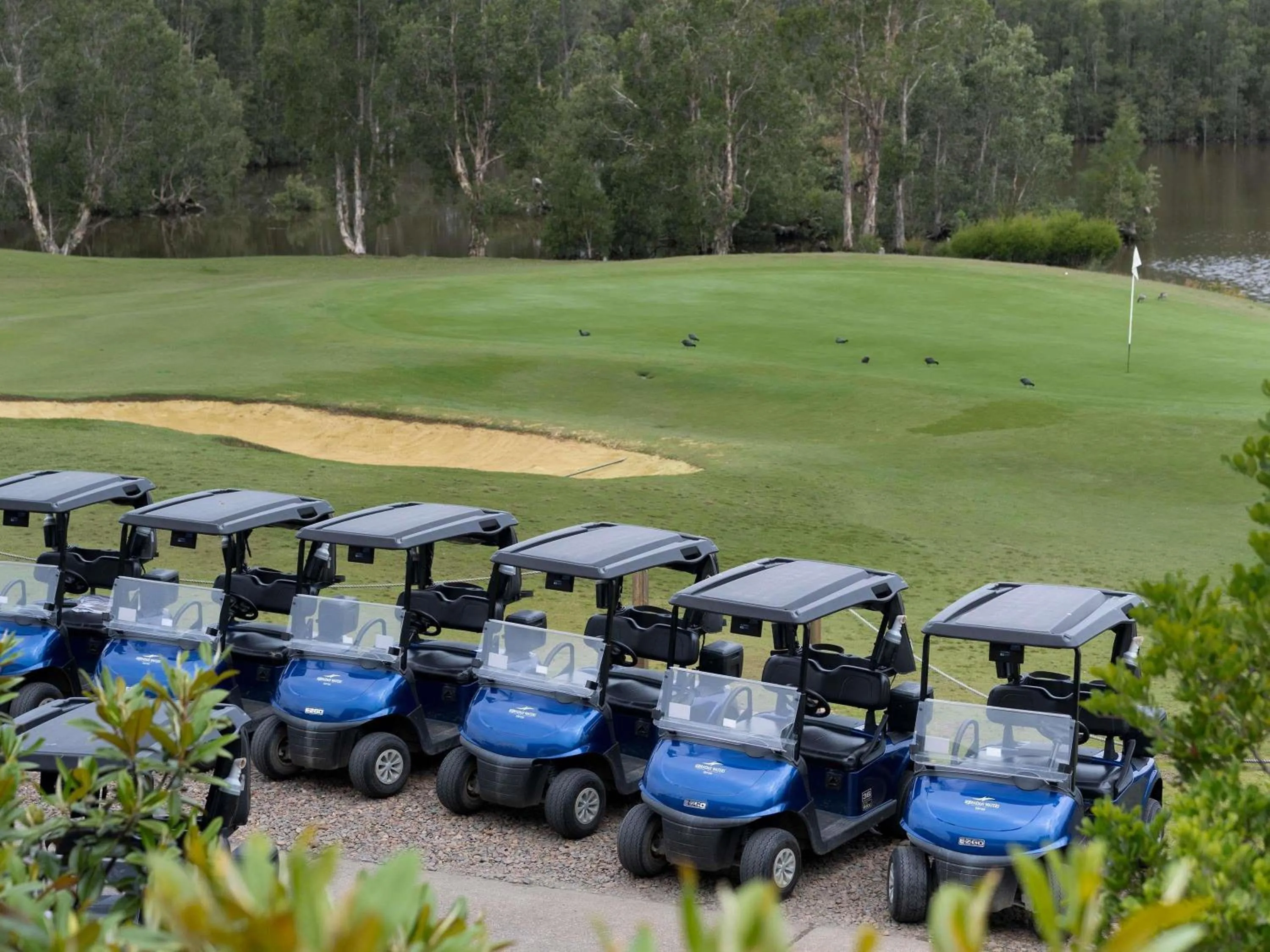 Other in Mercure Kooindah Waters Central Coast