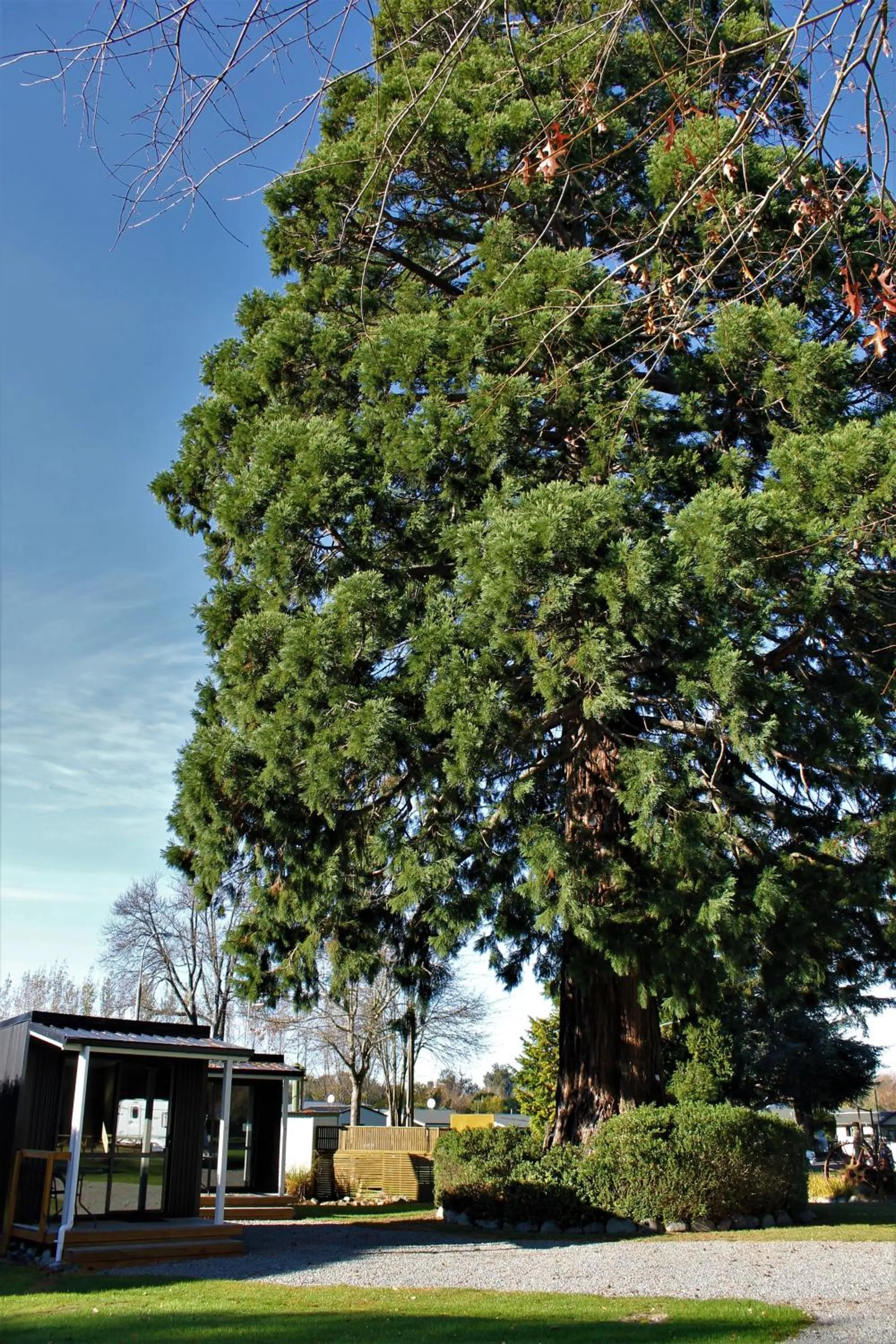 Geraldine TOP 10 Holiday Park