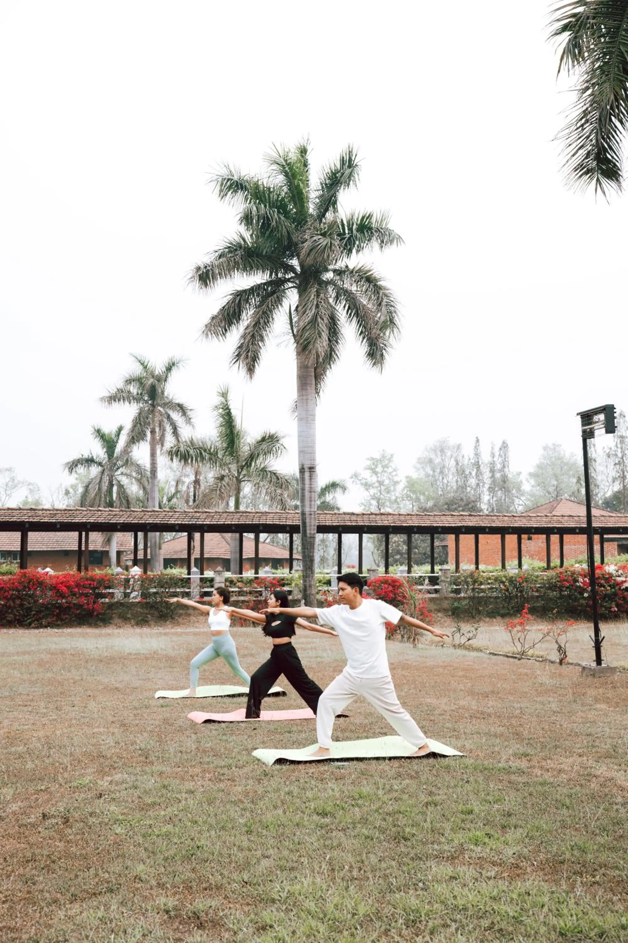 Day in Hokke Lumbini