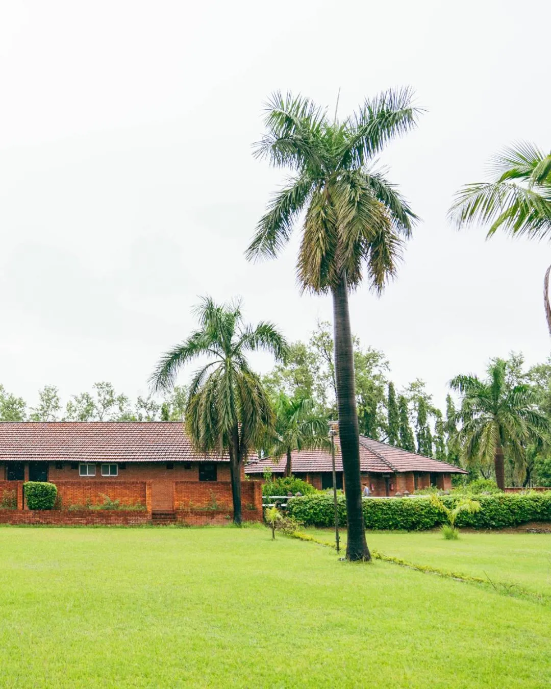 Property building in Hokke Lumbini