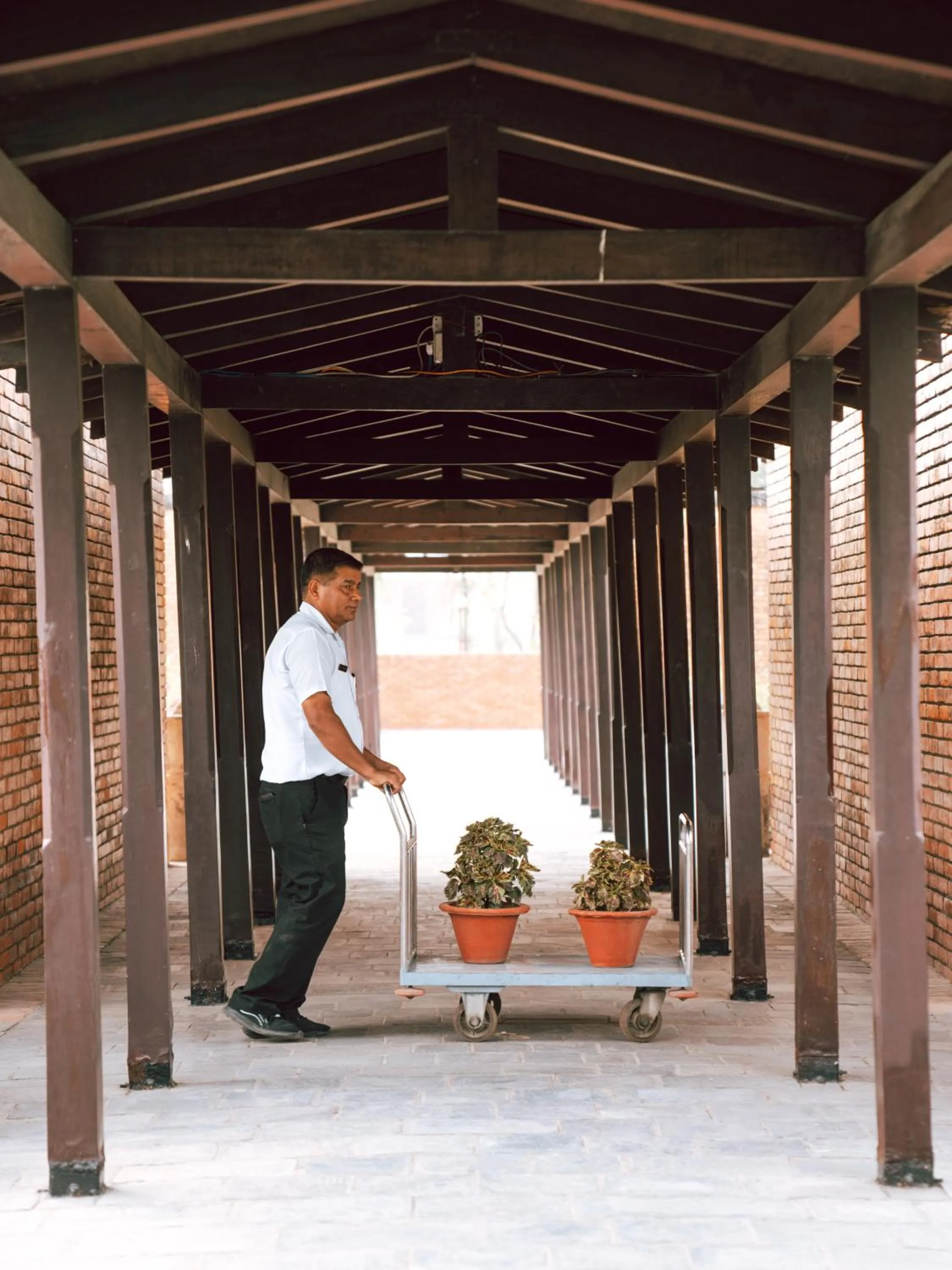 Staff in Hokke Lumbini