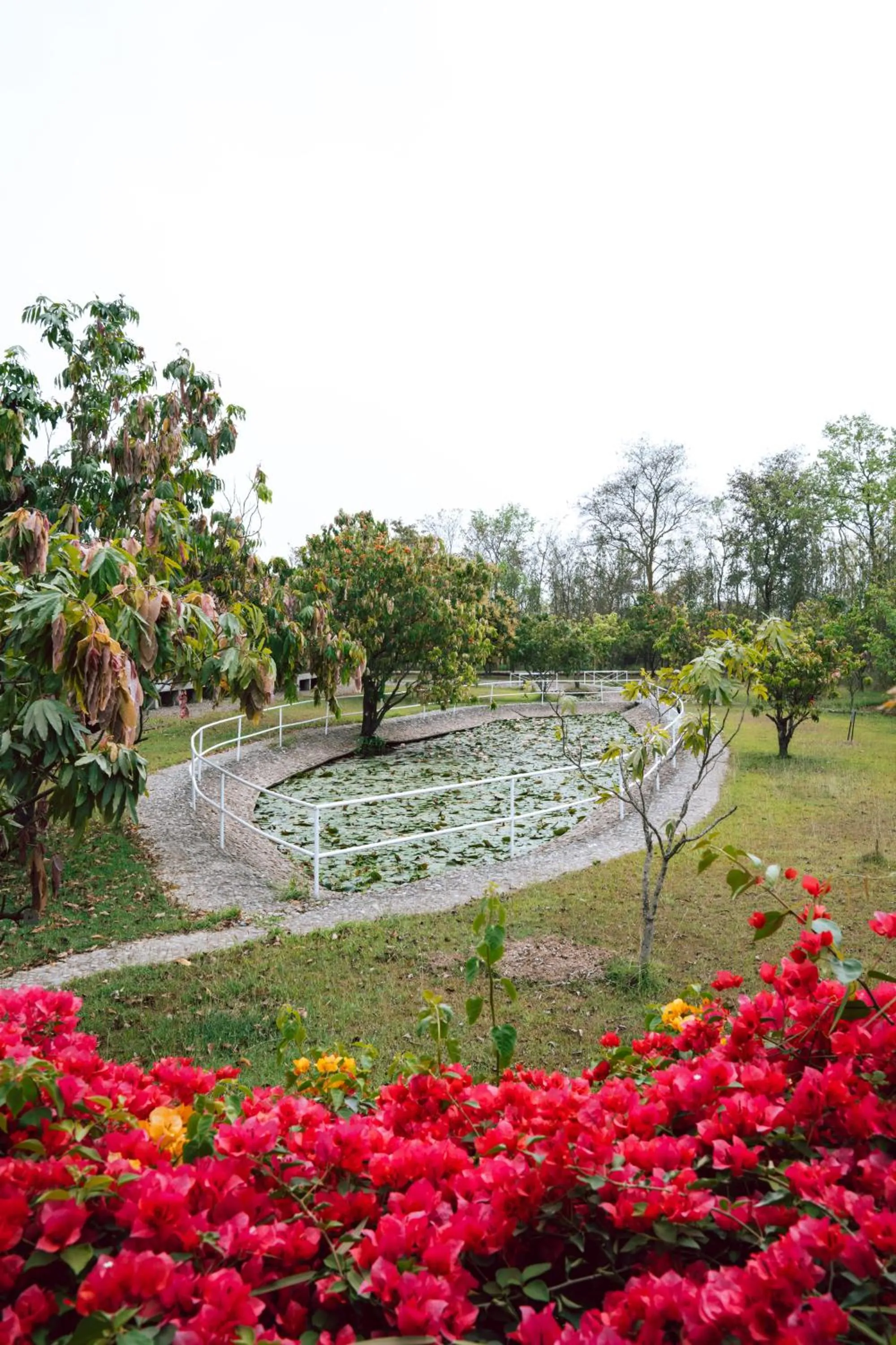 Garden view in Hokke Lumbini