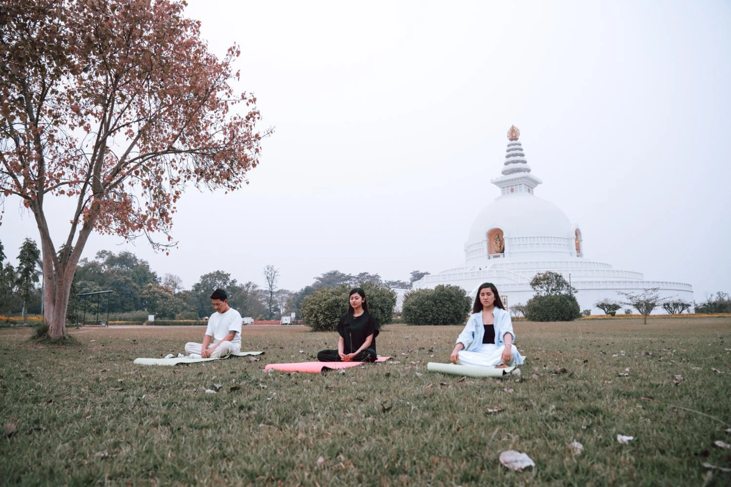 Activities in Hokke Lumbini