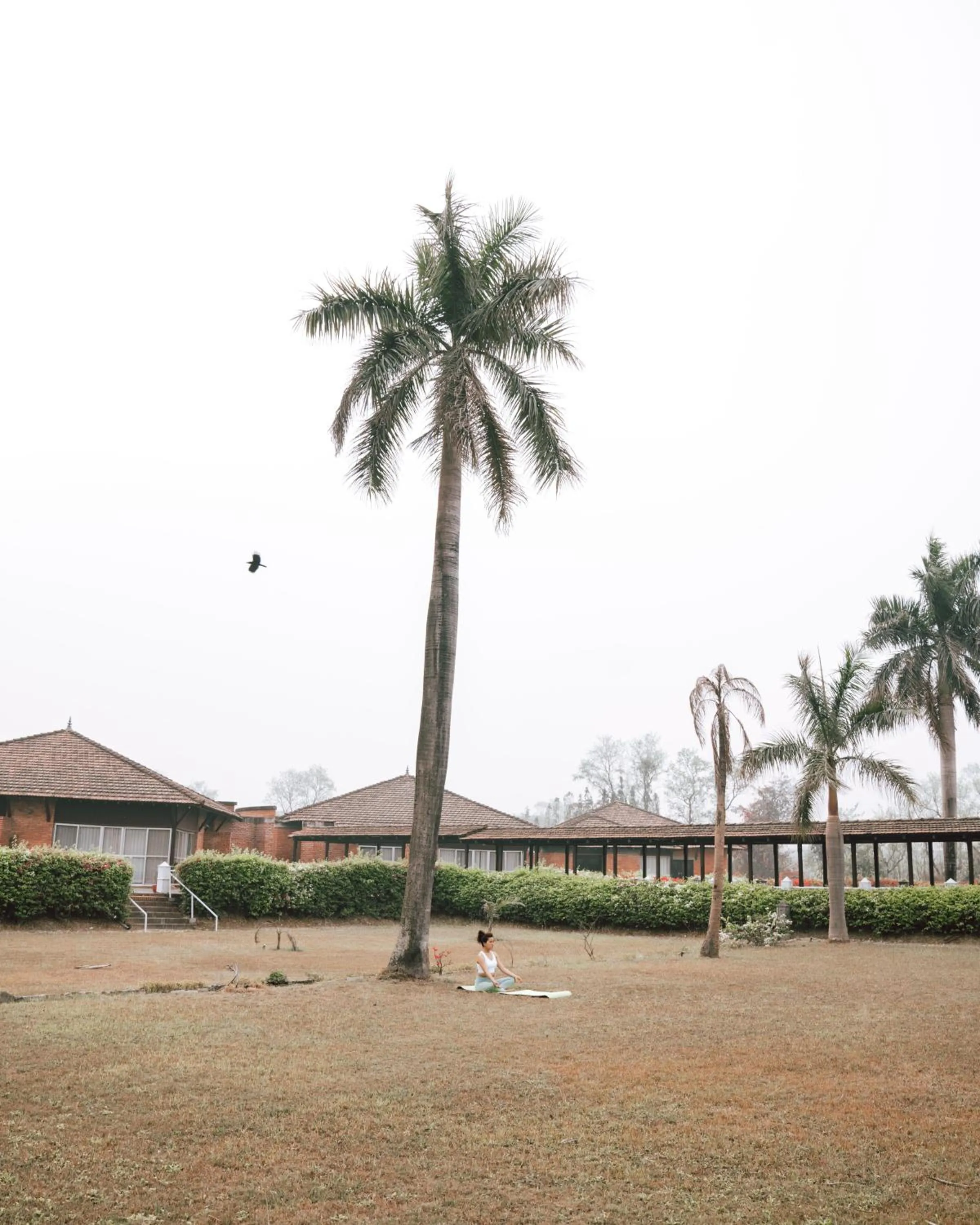 Garden in Hokke Lumbini