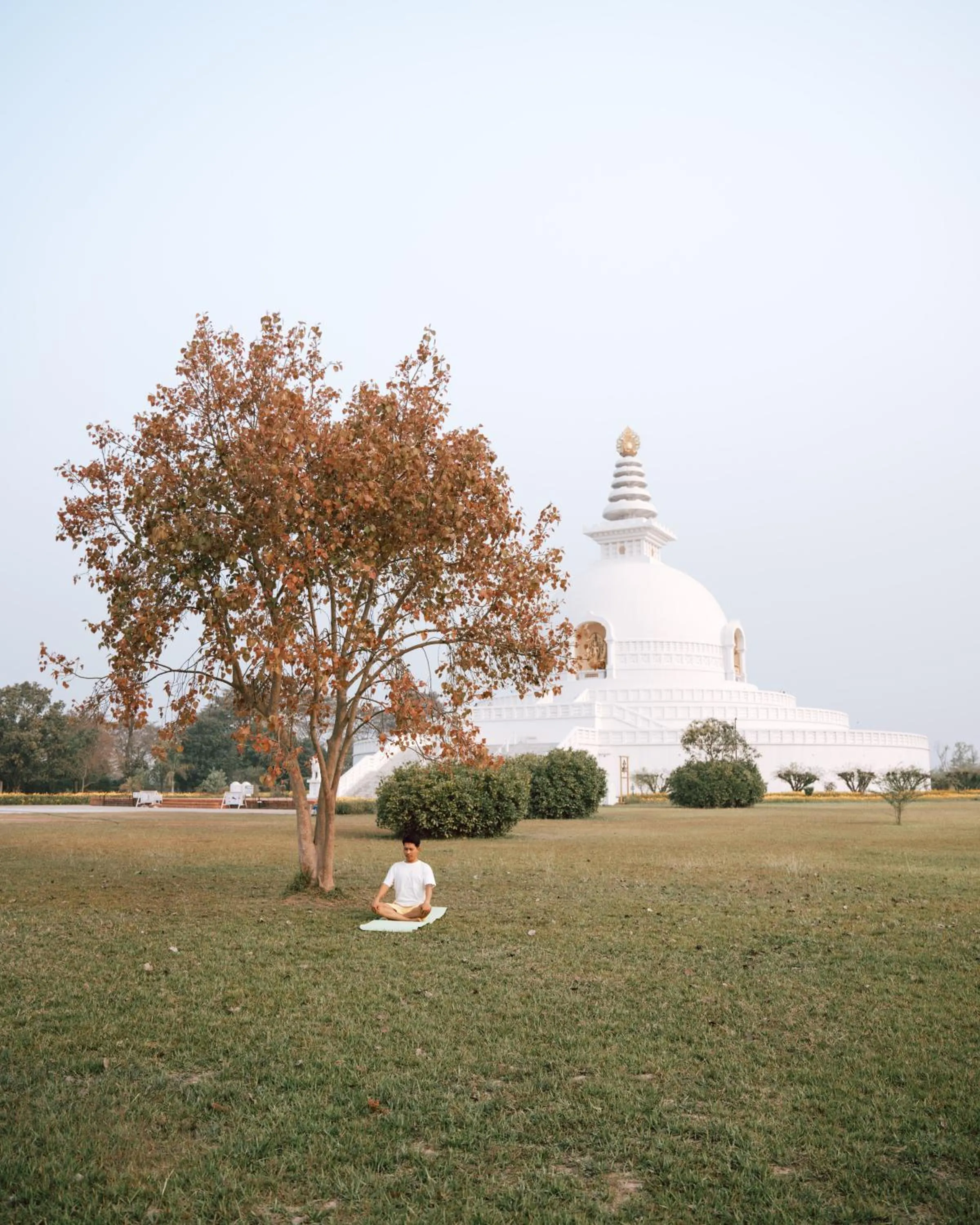 Garden in Hokke Lumbini