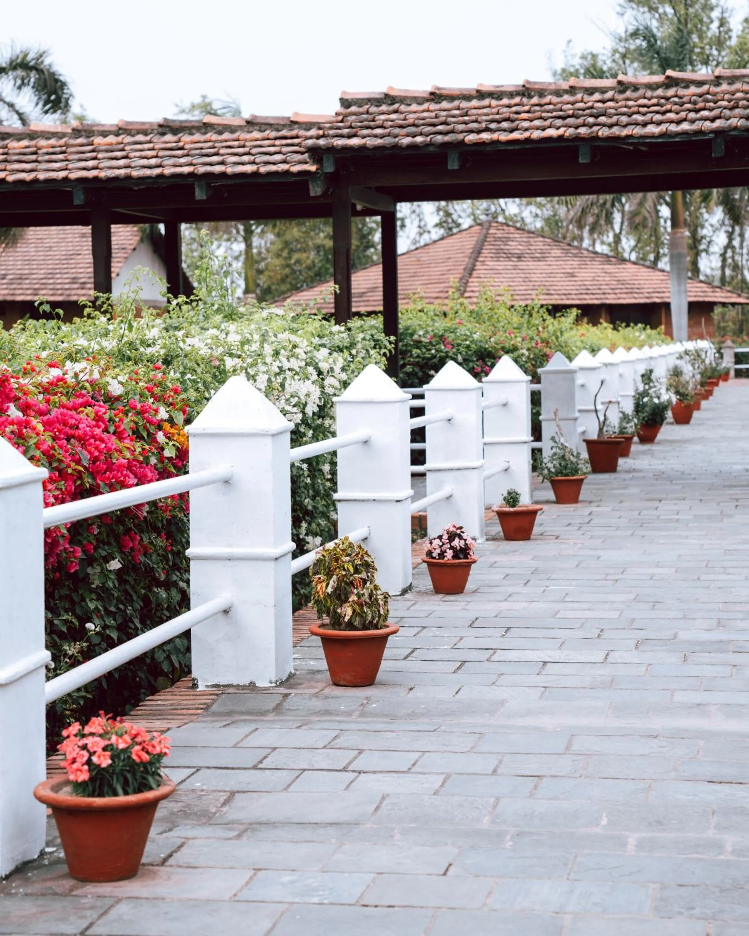 Day in Hokke Lumbini