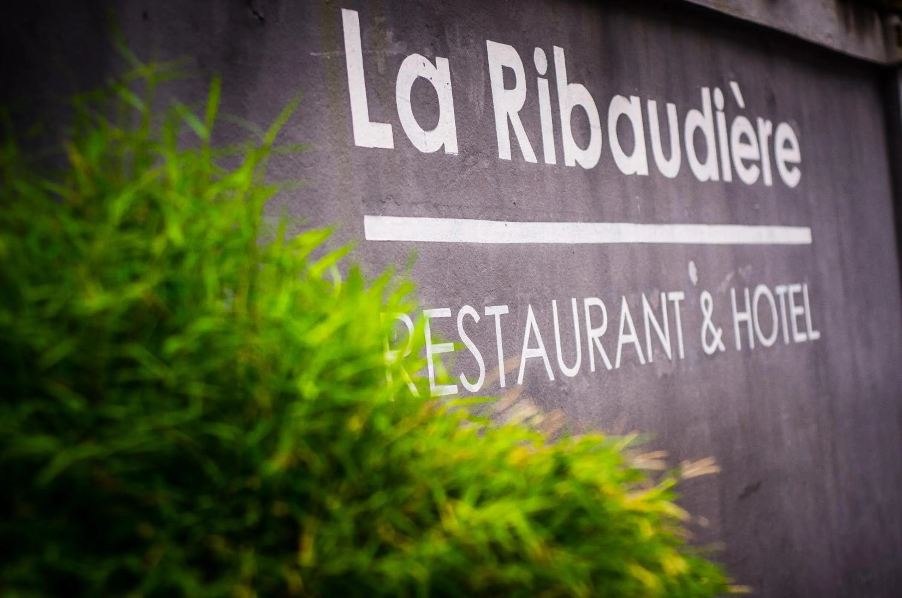 Property logo or sign in Hôtel Restaurant La Ribaudière