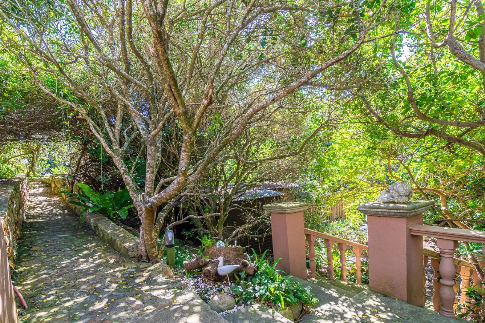 Garden in Kennedys Beach Villa