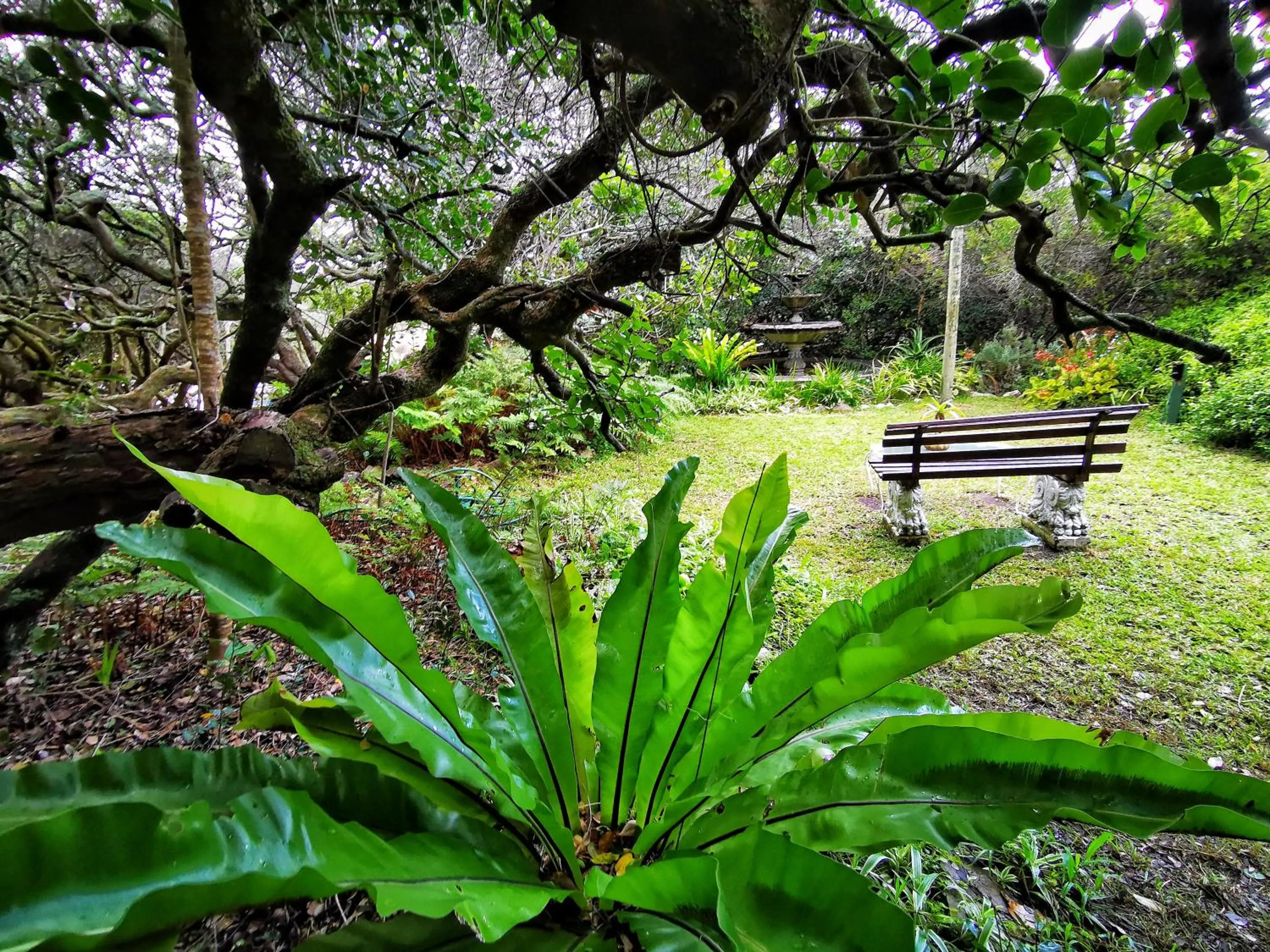 Natural landscape in Kennedys Beach Villa