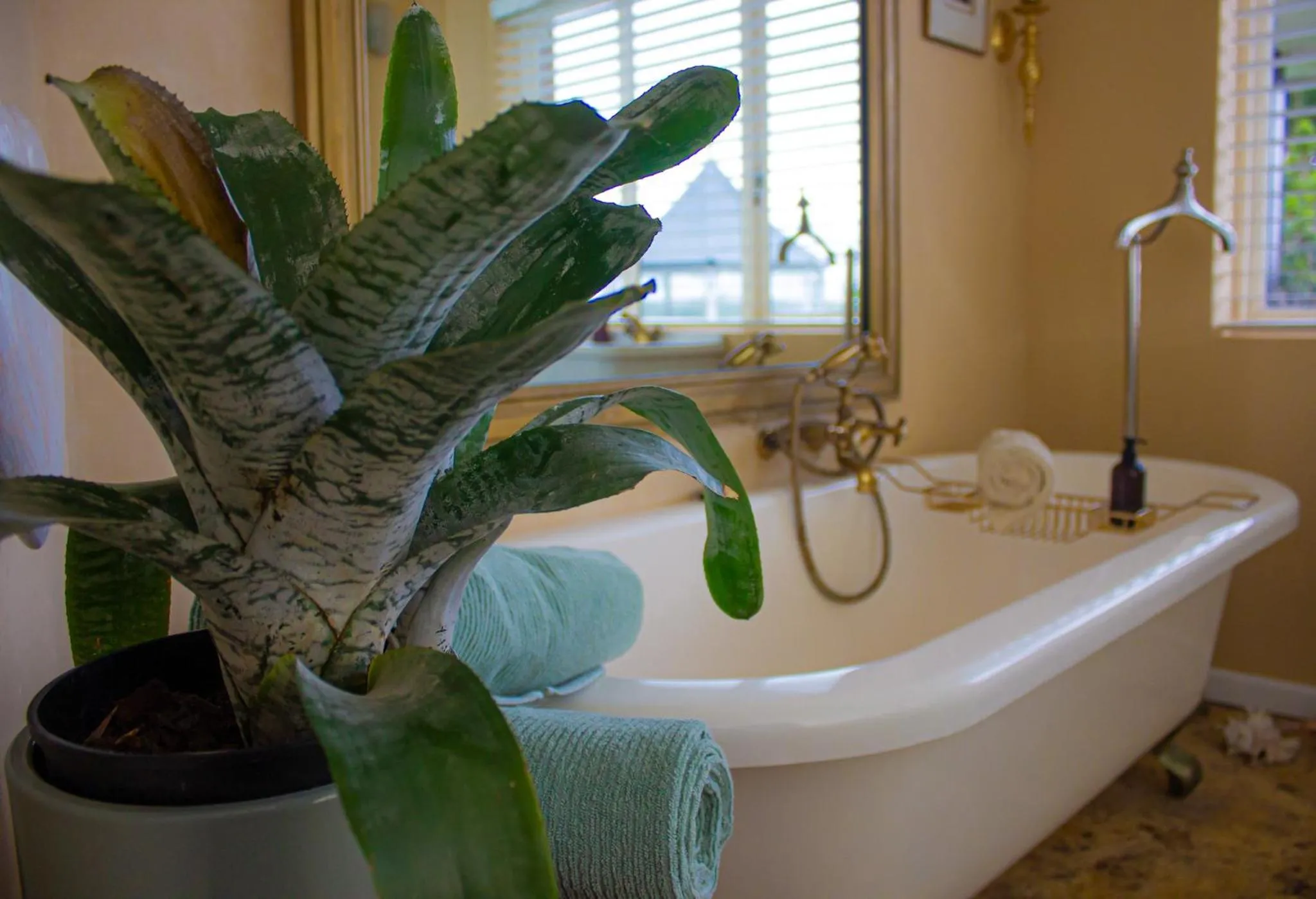 Bathroom in Kennedys Beach Villa