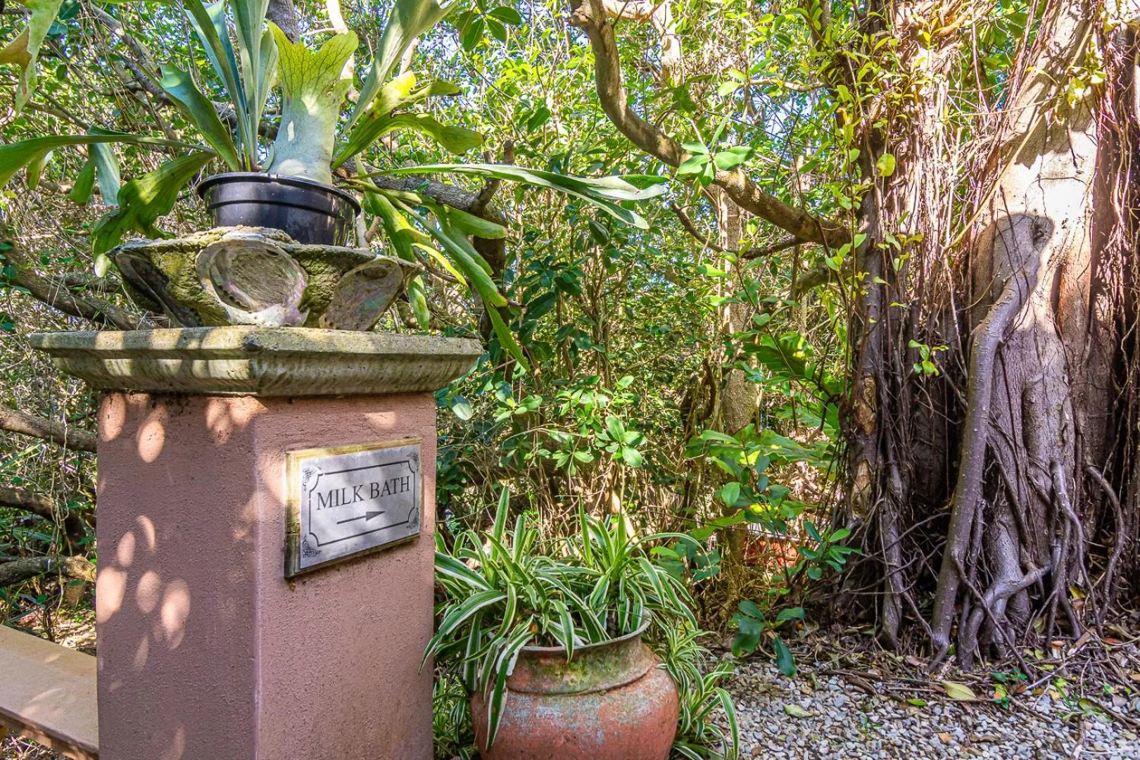 Garden in Kennedys Beach Villa