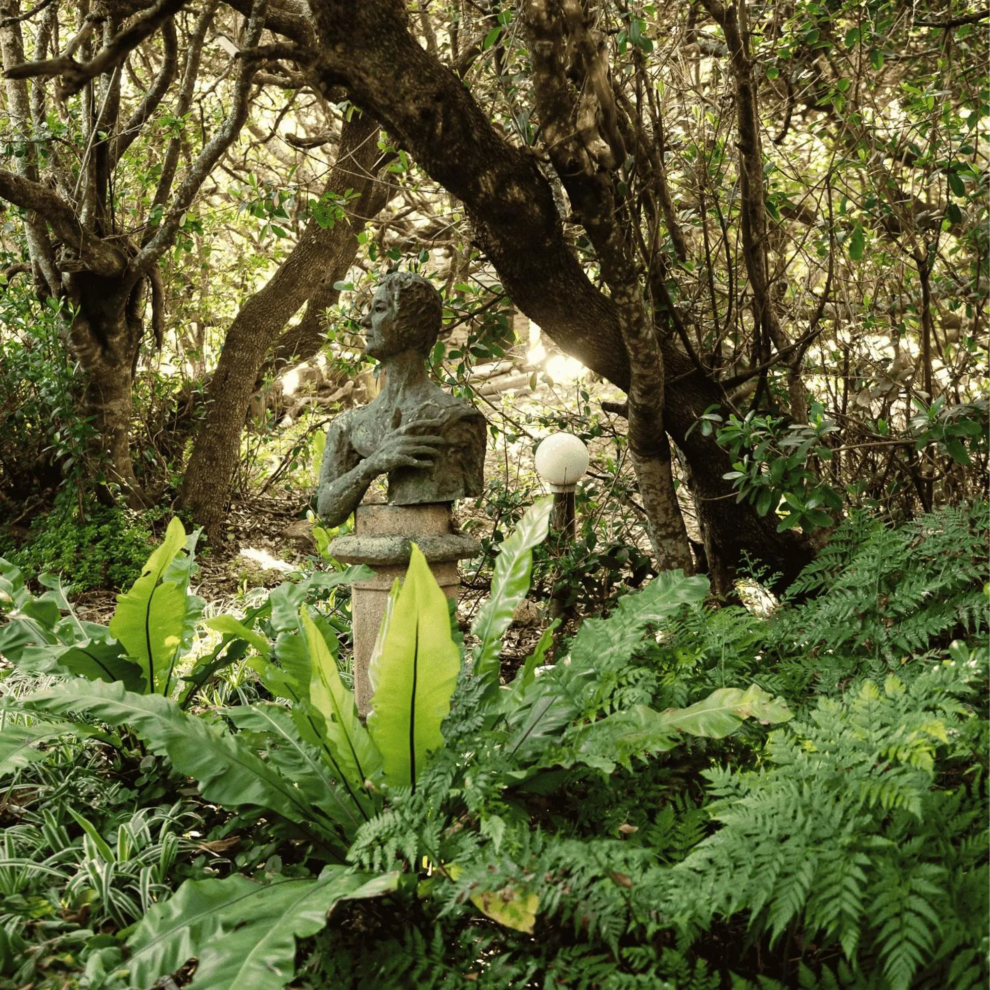 Natural landscape in Kennedys Beach Villa