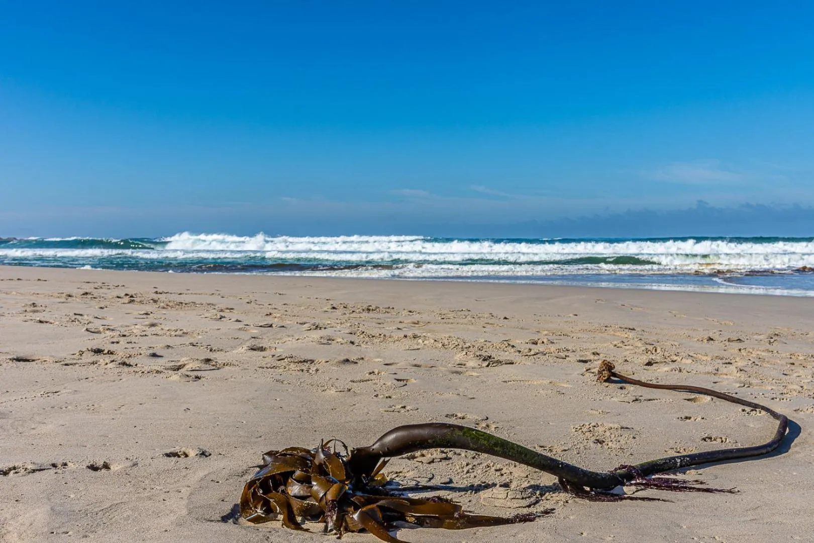 Beach in Kennedys Beach Villa
