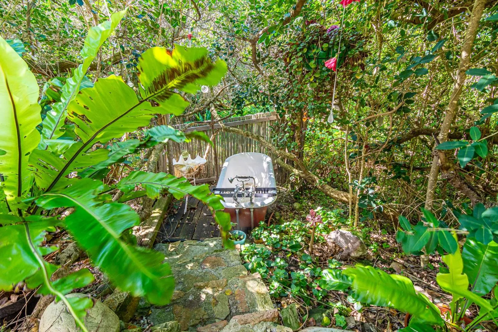 Garden in Kennedys Beach Villa