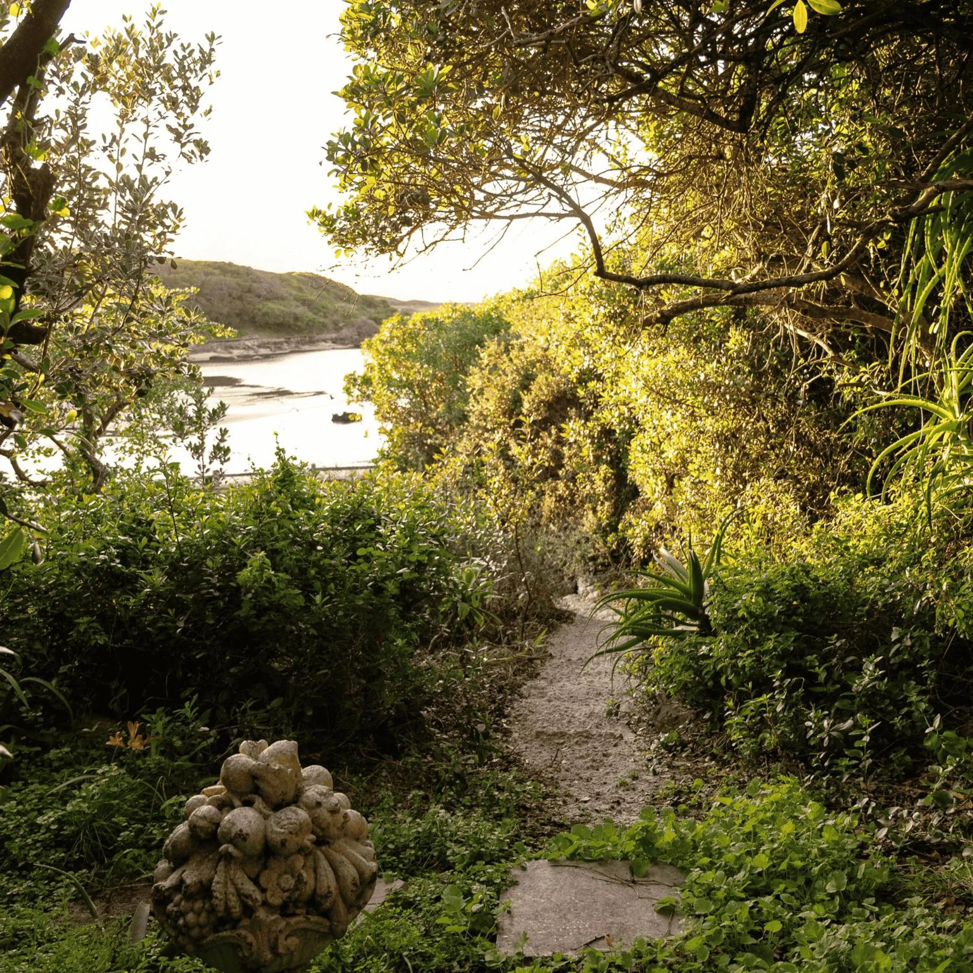 Natural landscape in Kennedys Beach Villa