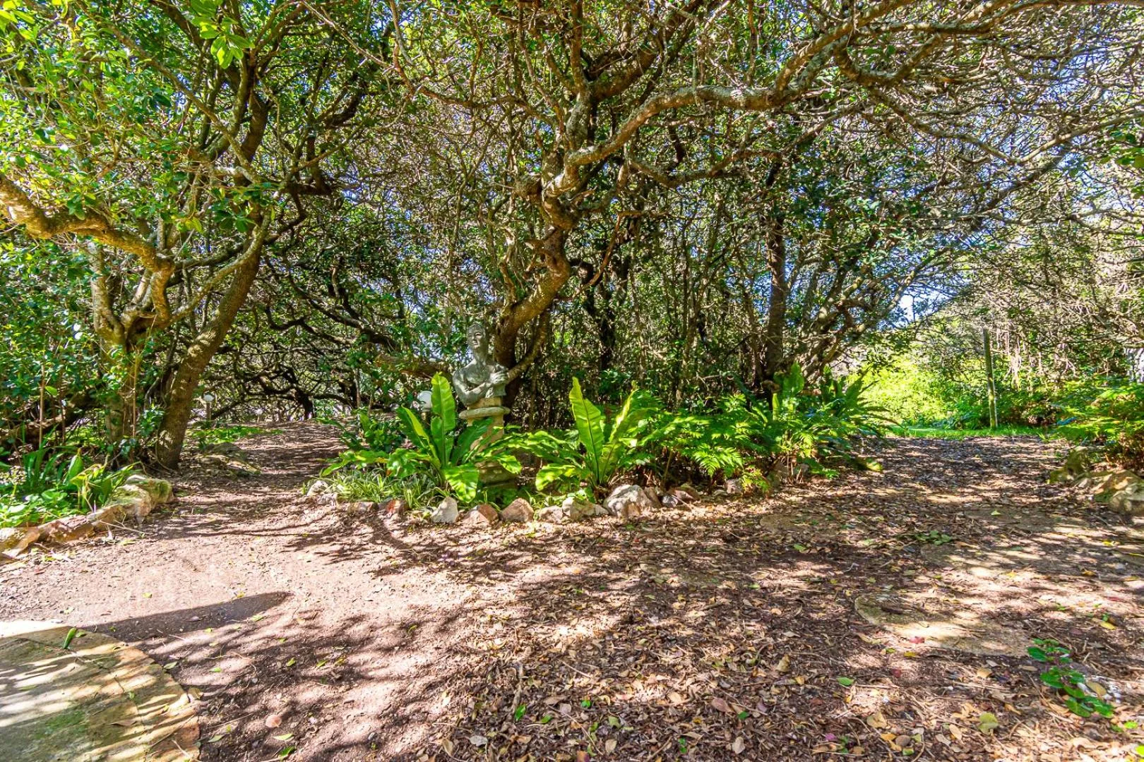Garden in Kennedys Beach Villa