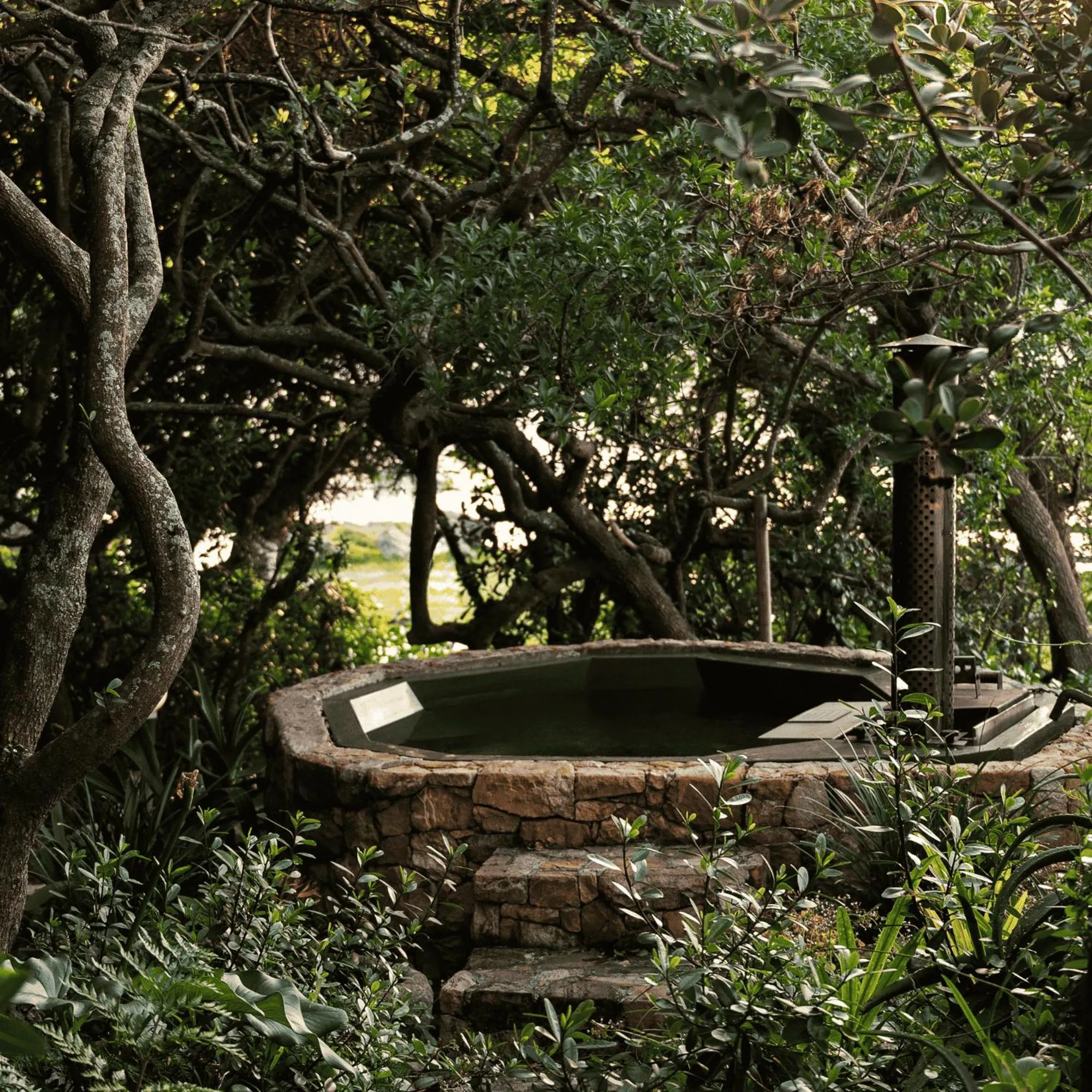 Natural landscape in Kennedys Beach Villa