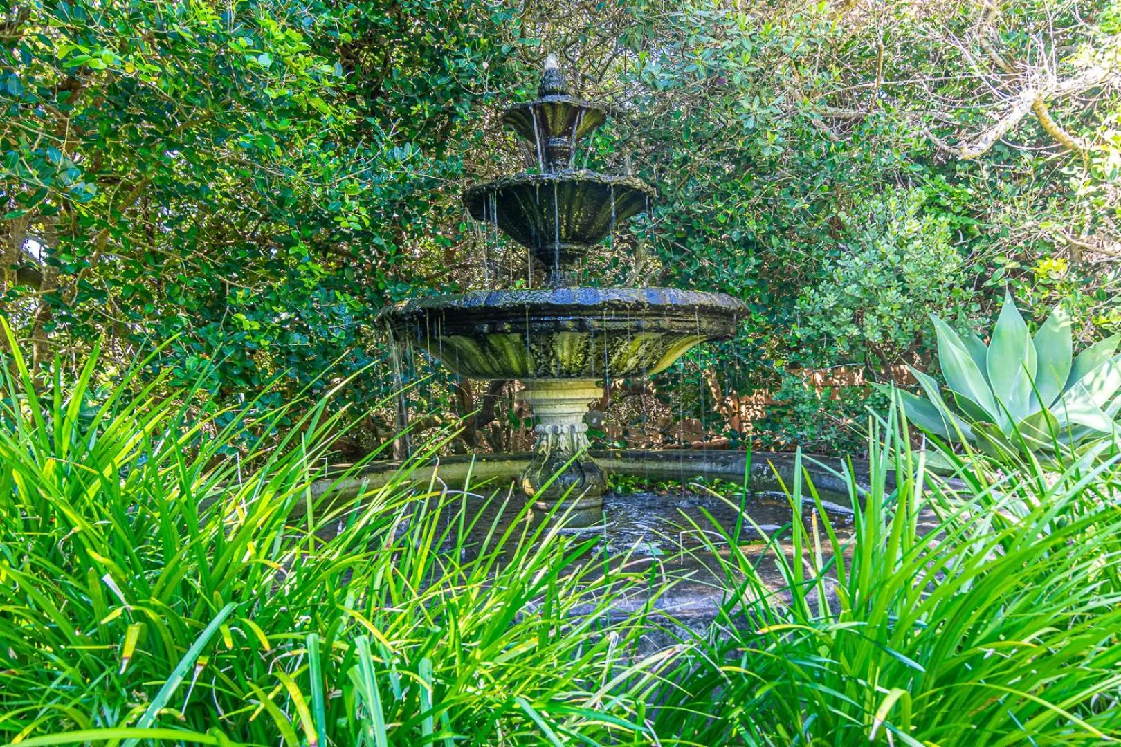 Garden in Kennedys Beach Villa