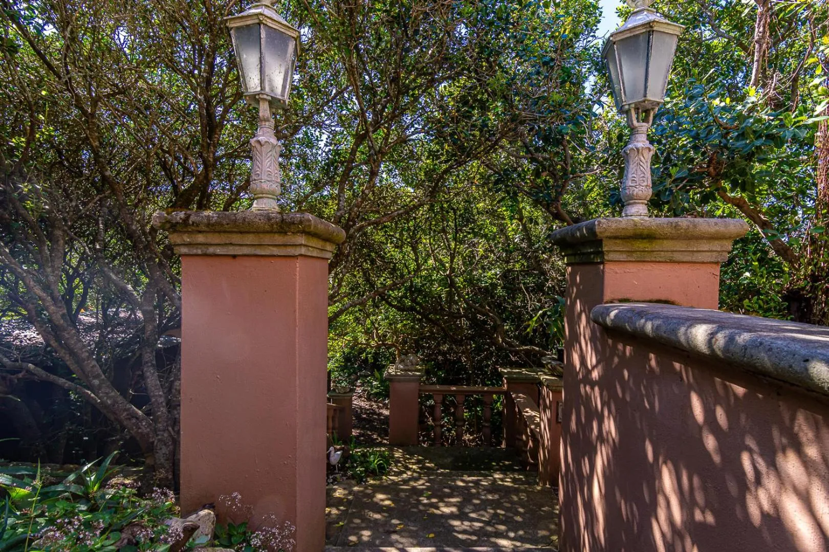 Garden in Kennedys Beach Villa