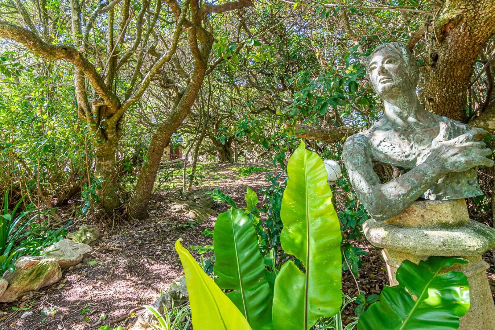 Garden in Kennedys Beach Villa