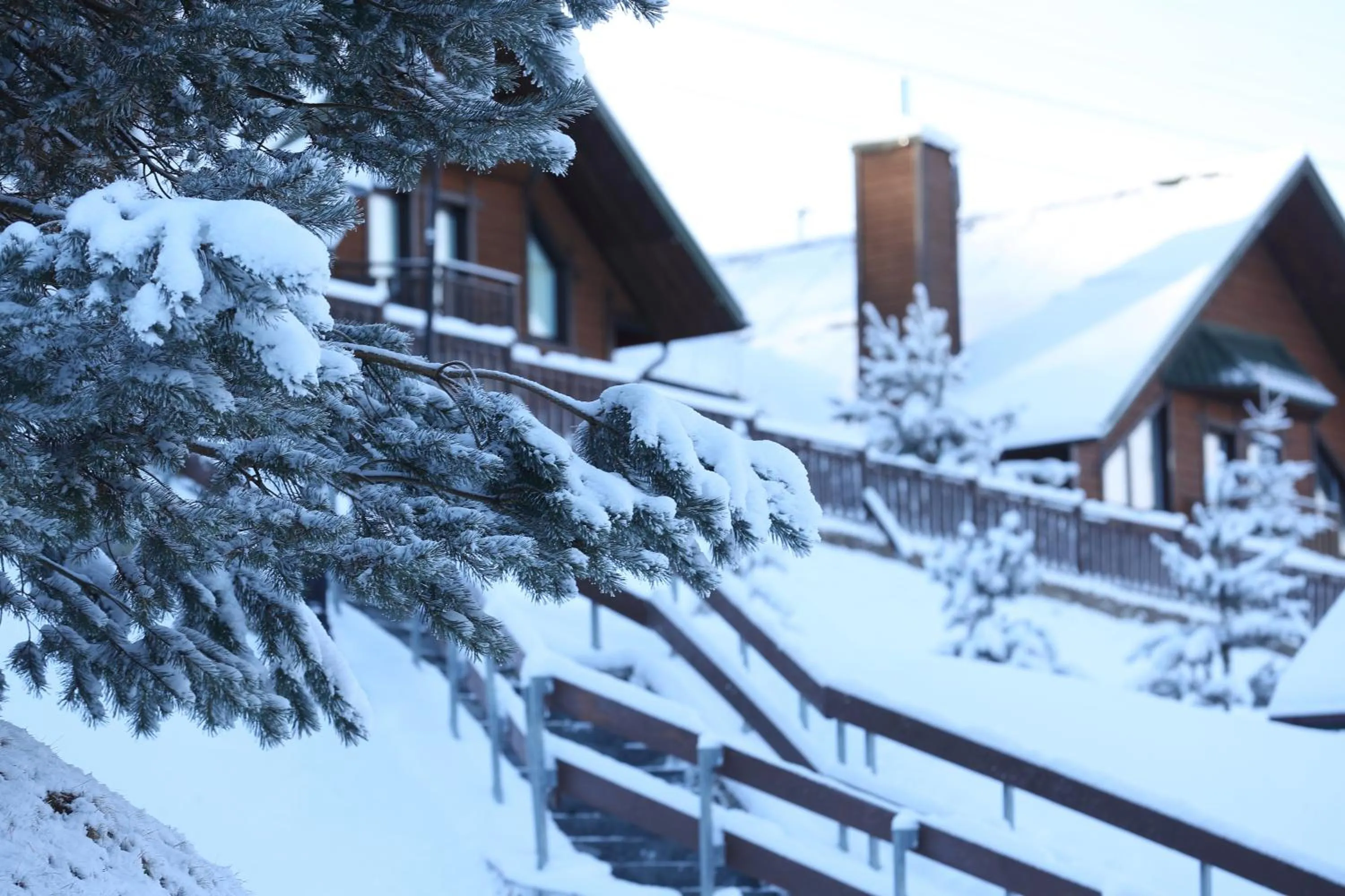 Property building in Bukovel Hotel