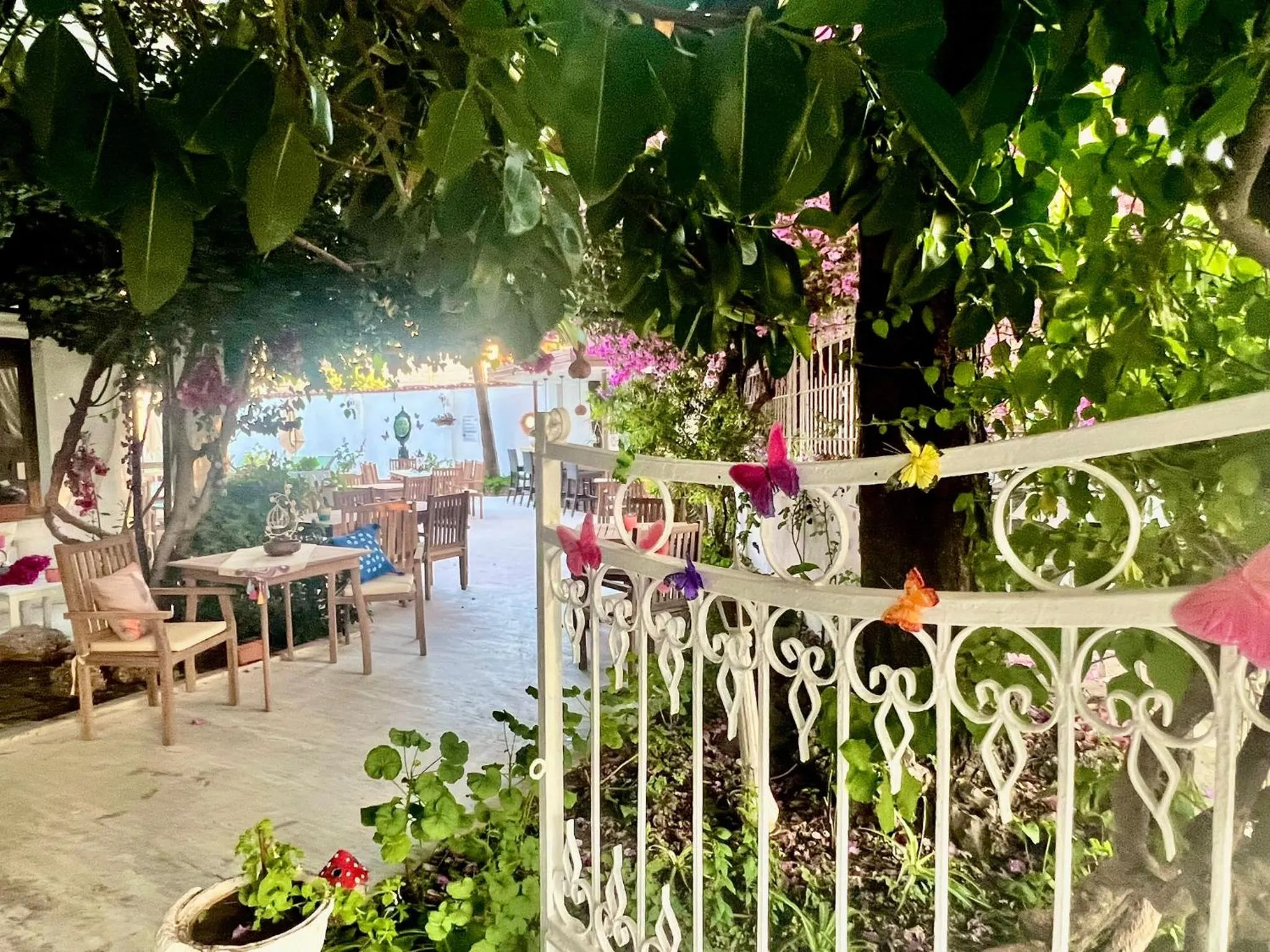 Garden in Carikci Hotel