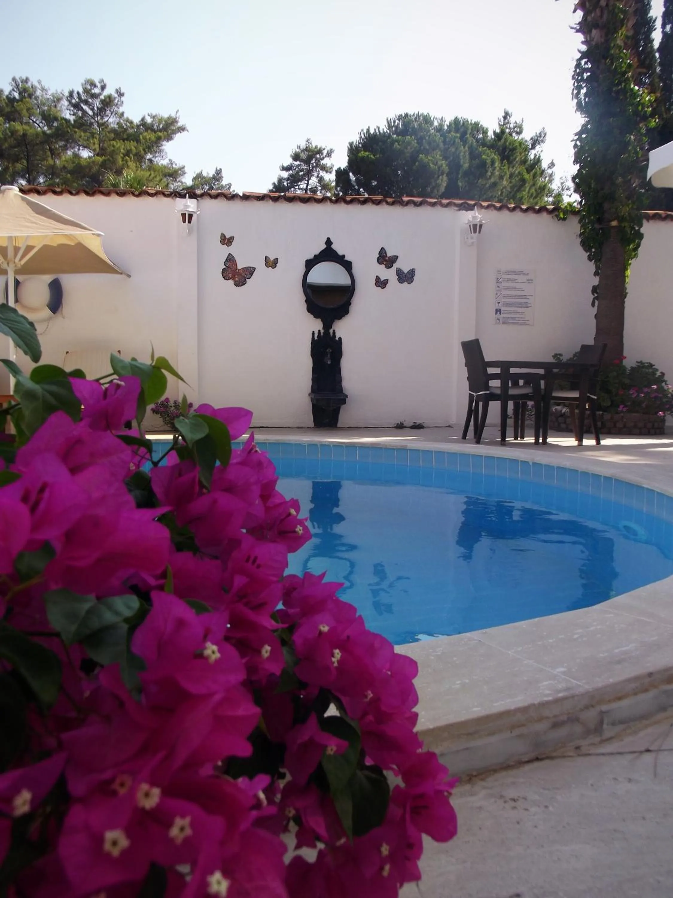 Swimming pool in Carikci Hotel