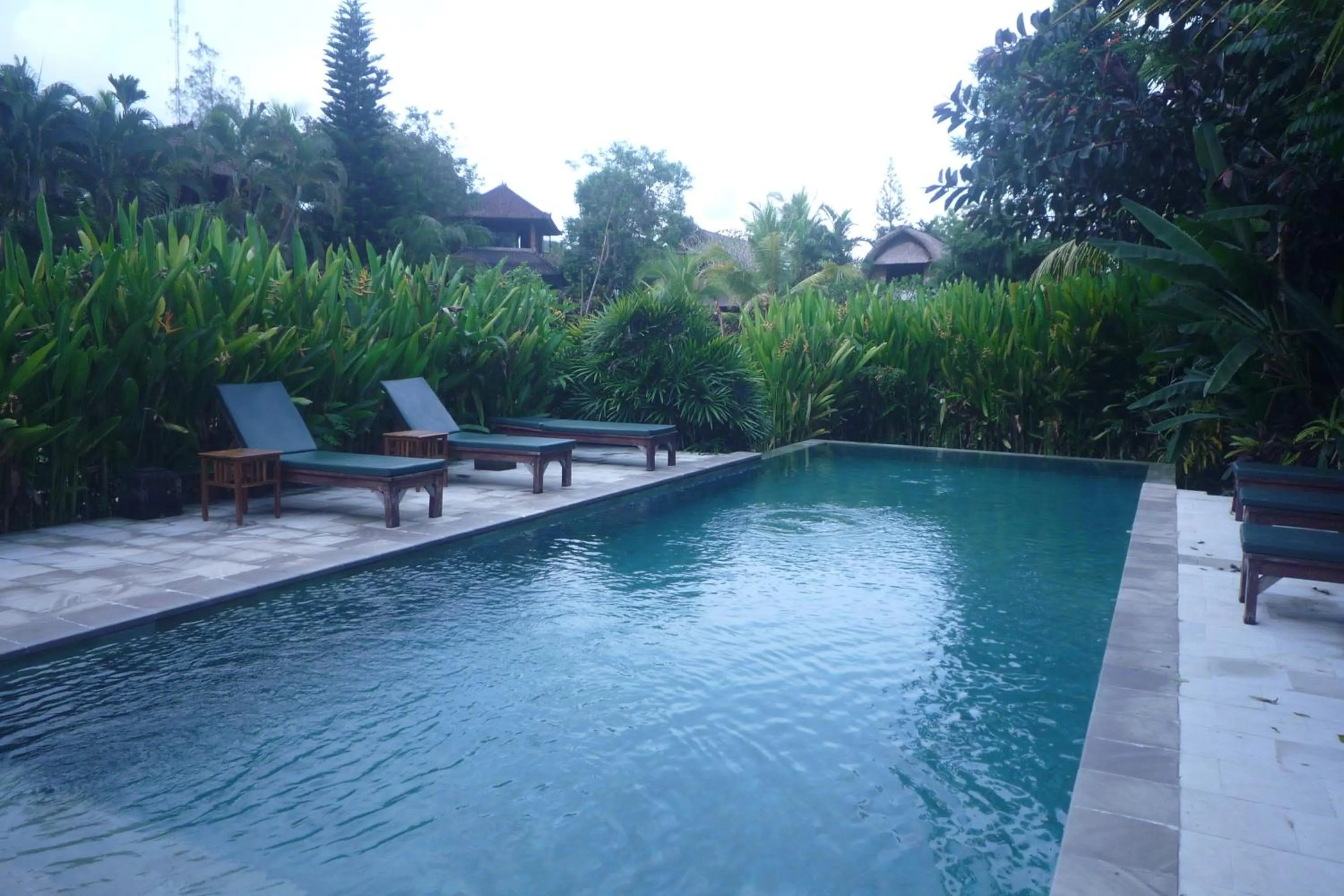 Swimming pool in Gerebig Bungalow