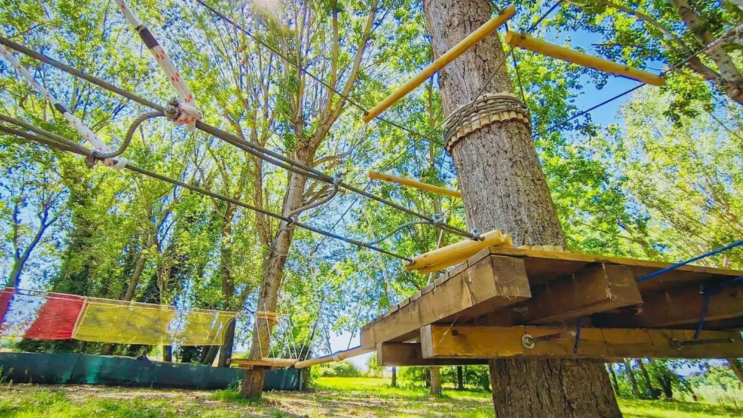 Activities in Camping Village Punta Navaccia