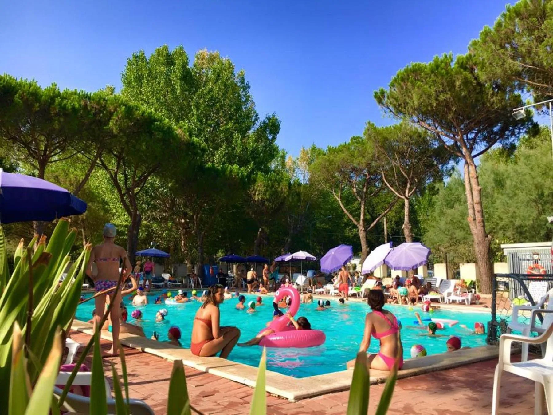 Swimming pool in Camping Village Punta Navaccia