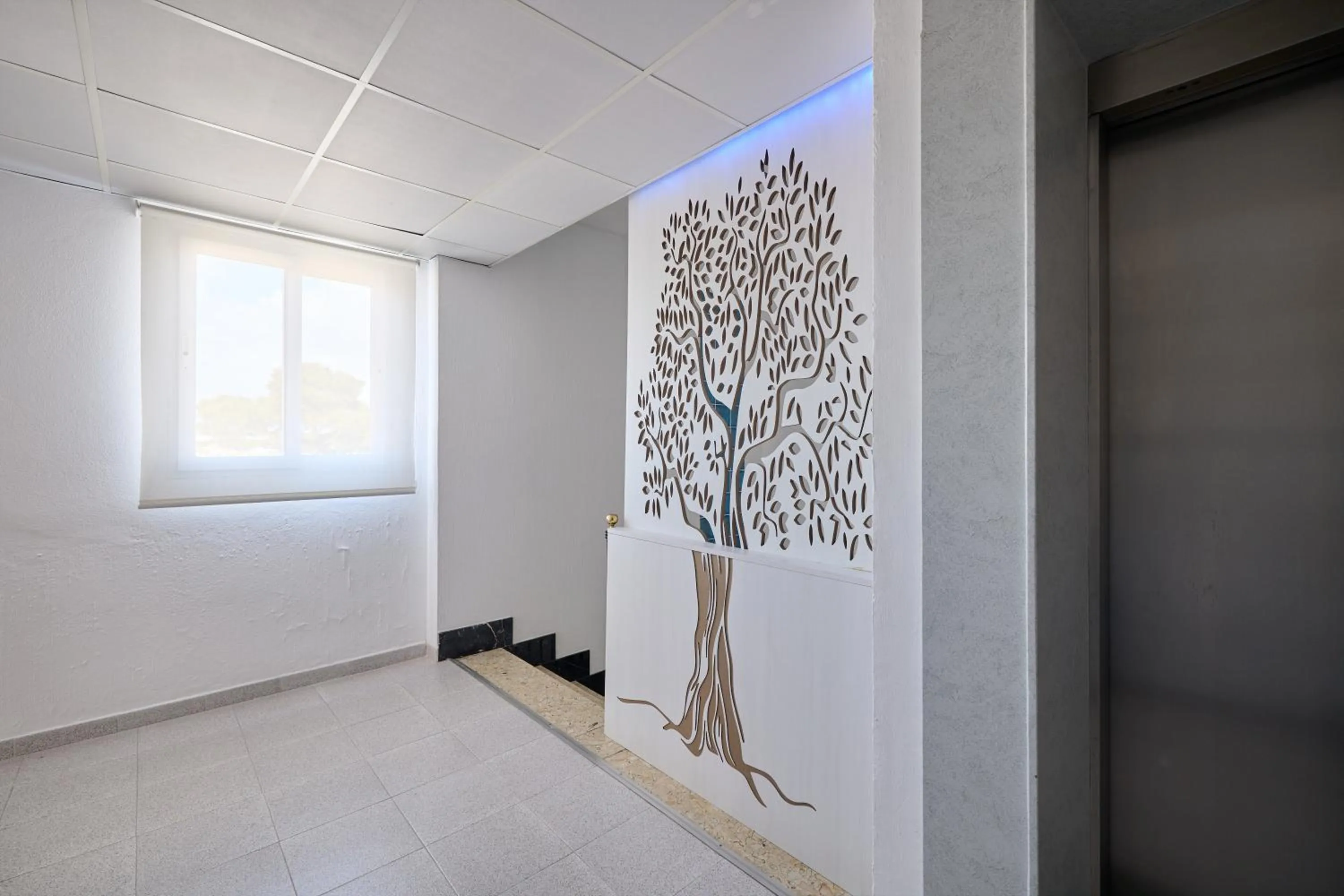 Apartamentos Isla del Sol