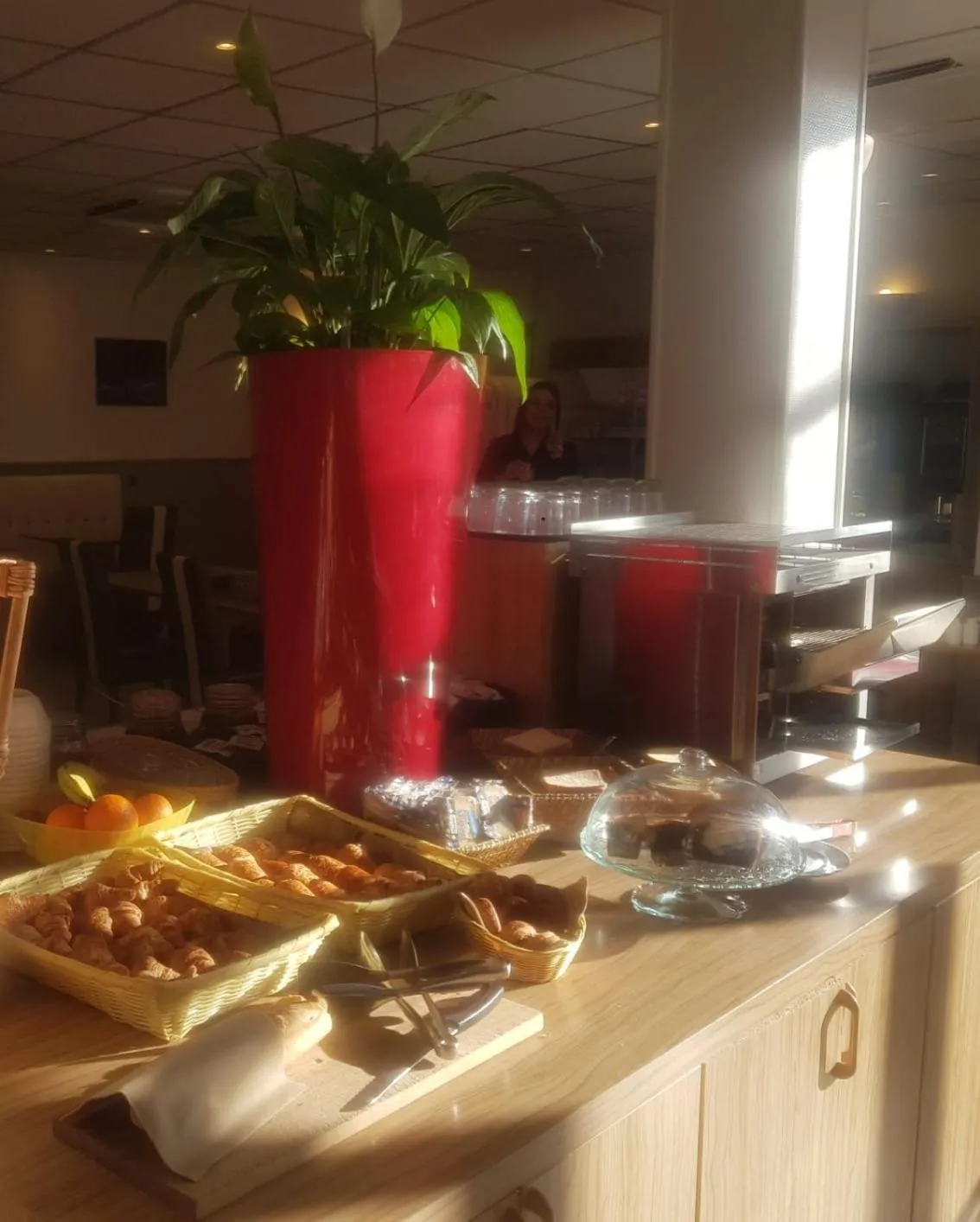 Food and drinks in KYRIAD ORANGE Centre Ville - HOTEL & RESTAURANT & BAR - La Galerie d'Art des Princes - Provence Alpes Côte d'Azur - France - Proche A7-A9 - exit21- Châteauneuf-du-Pape Avignon Bollene Nimes - 24h-24h