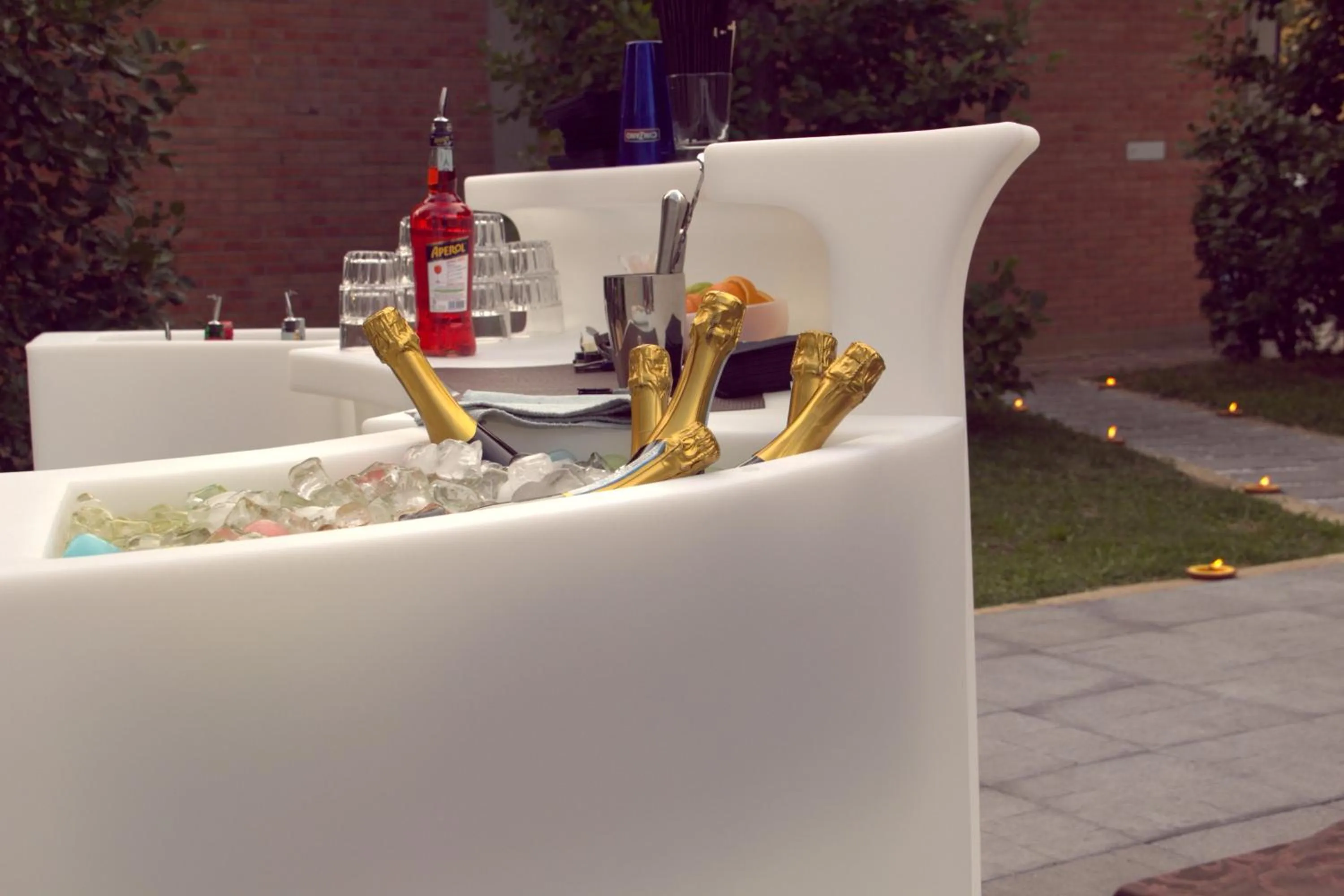 Garden in Hotel Pico