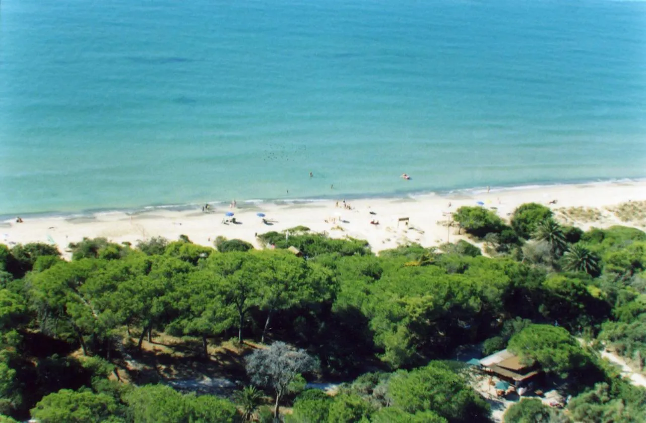 Decorative detail in Villaggio Turistico Airone
