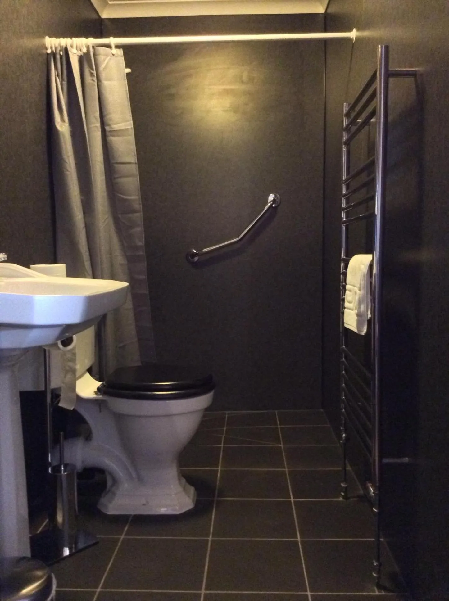 Toilet in Hillview Park