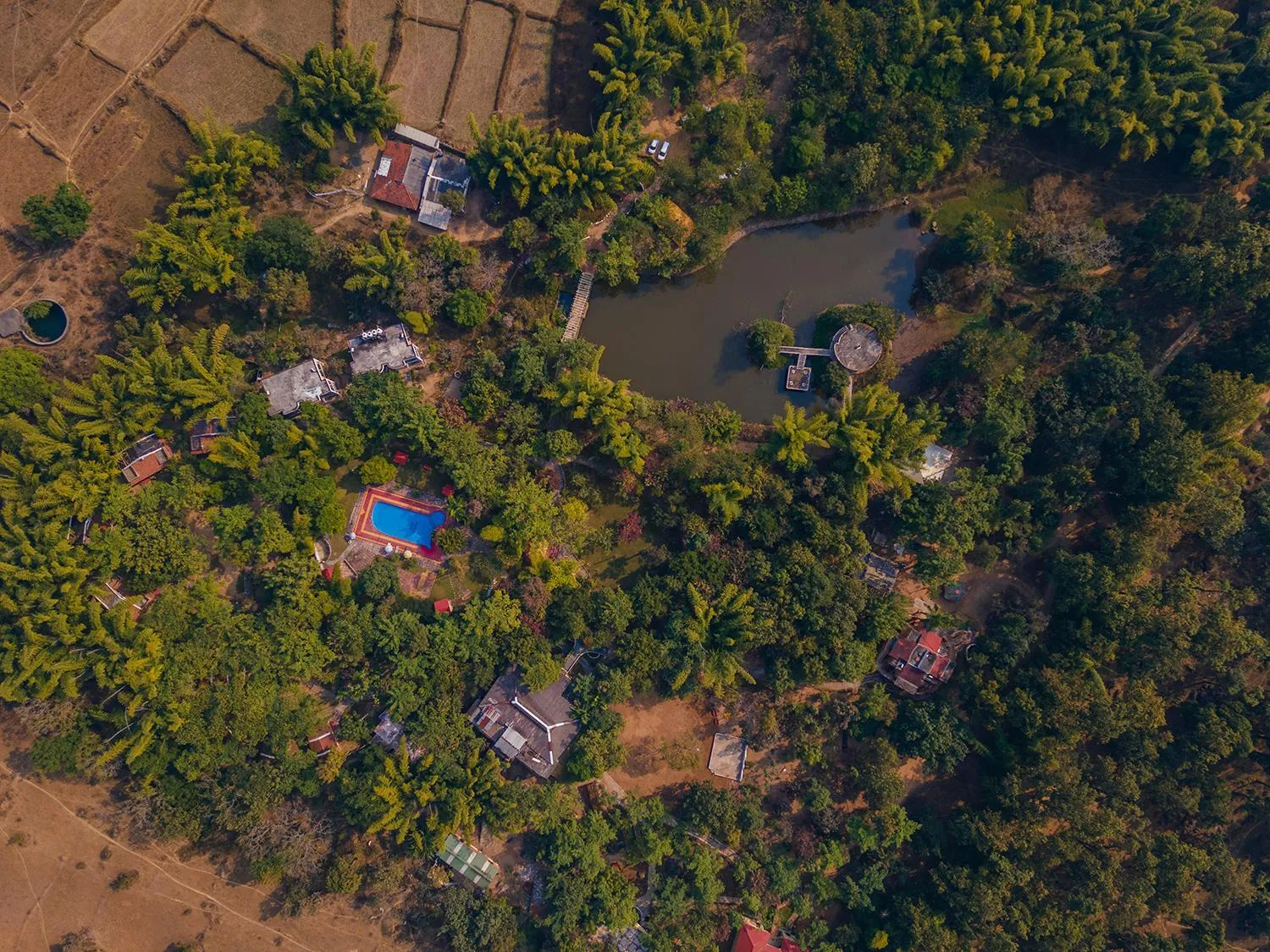 Bird's eye view in Jungle King Resort