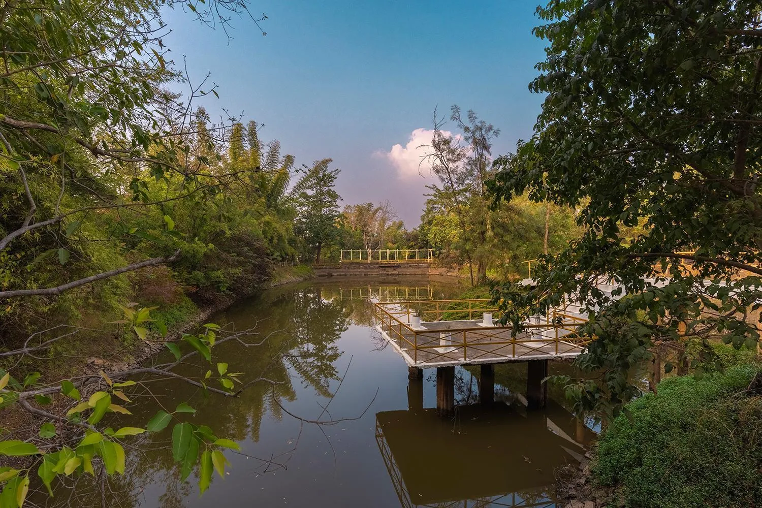 Lake view in Jungle King Resort
