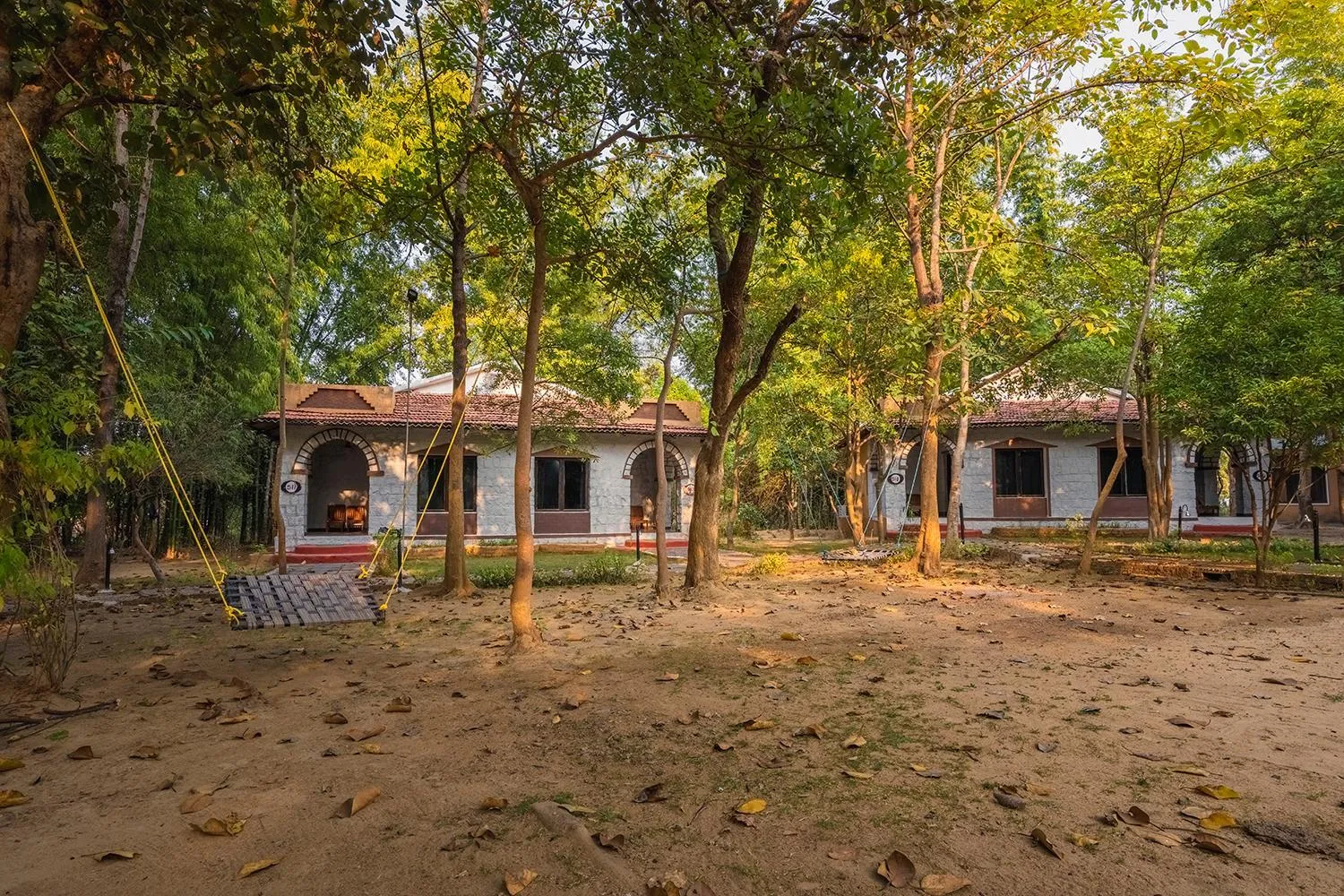 Garden view in Jungle King Resort