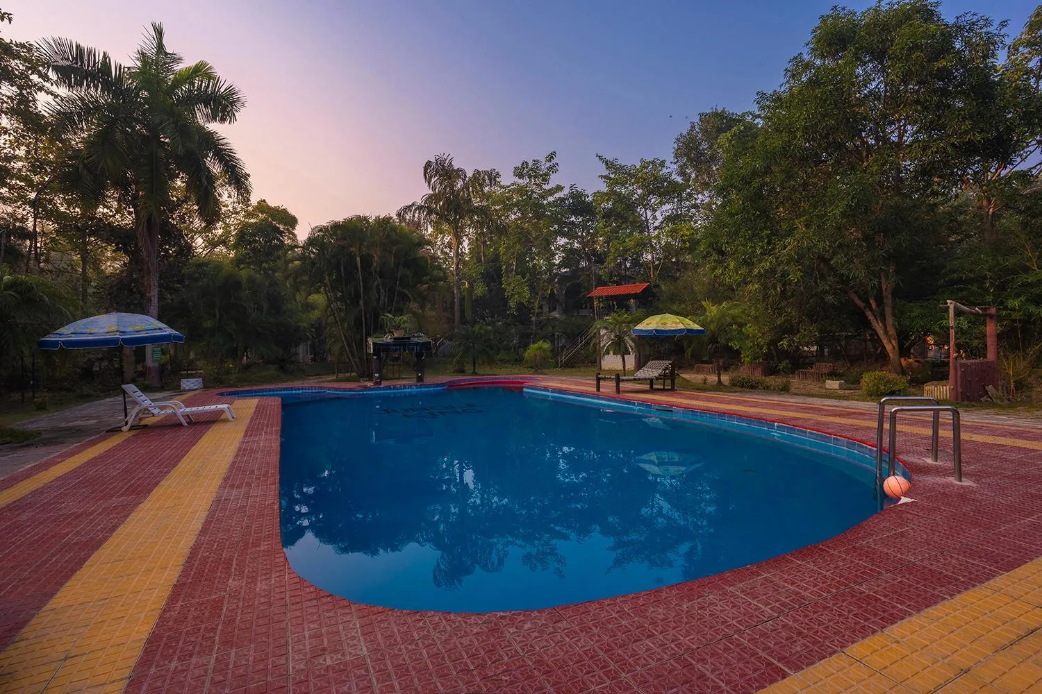 Swimming pool in Jungle King Resort