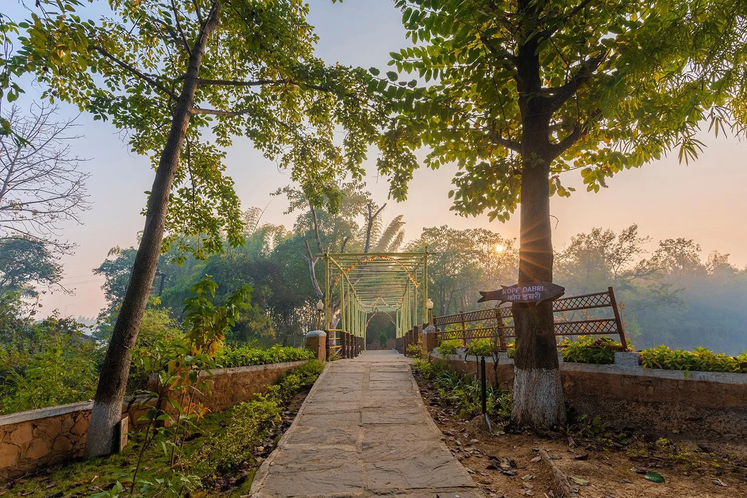 Natural landscape in Jungle King Resort