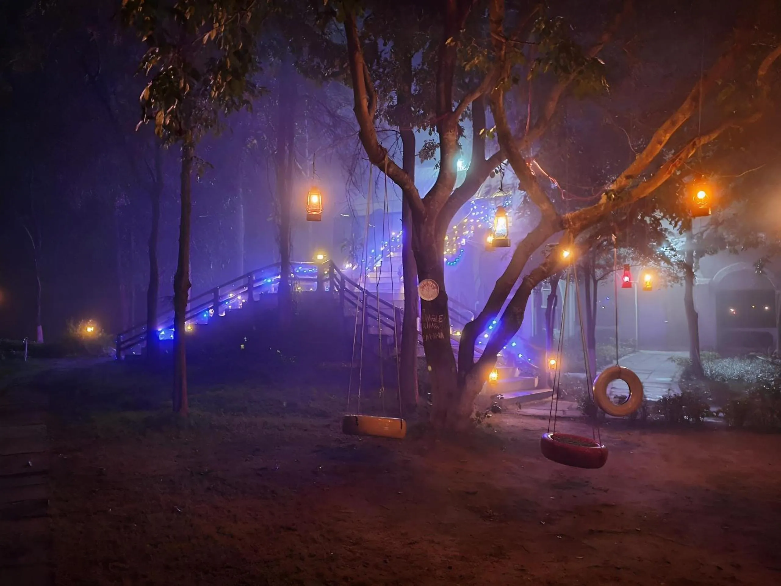 Night in Jungle King Resort