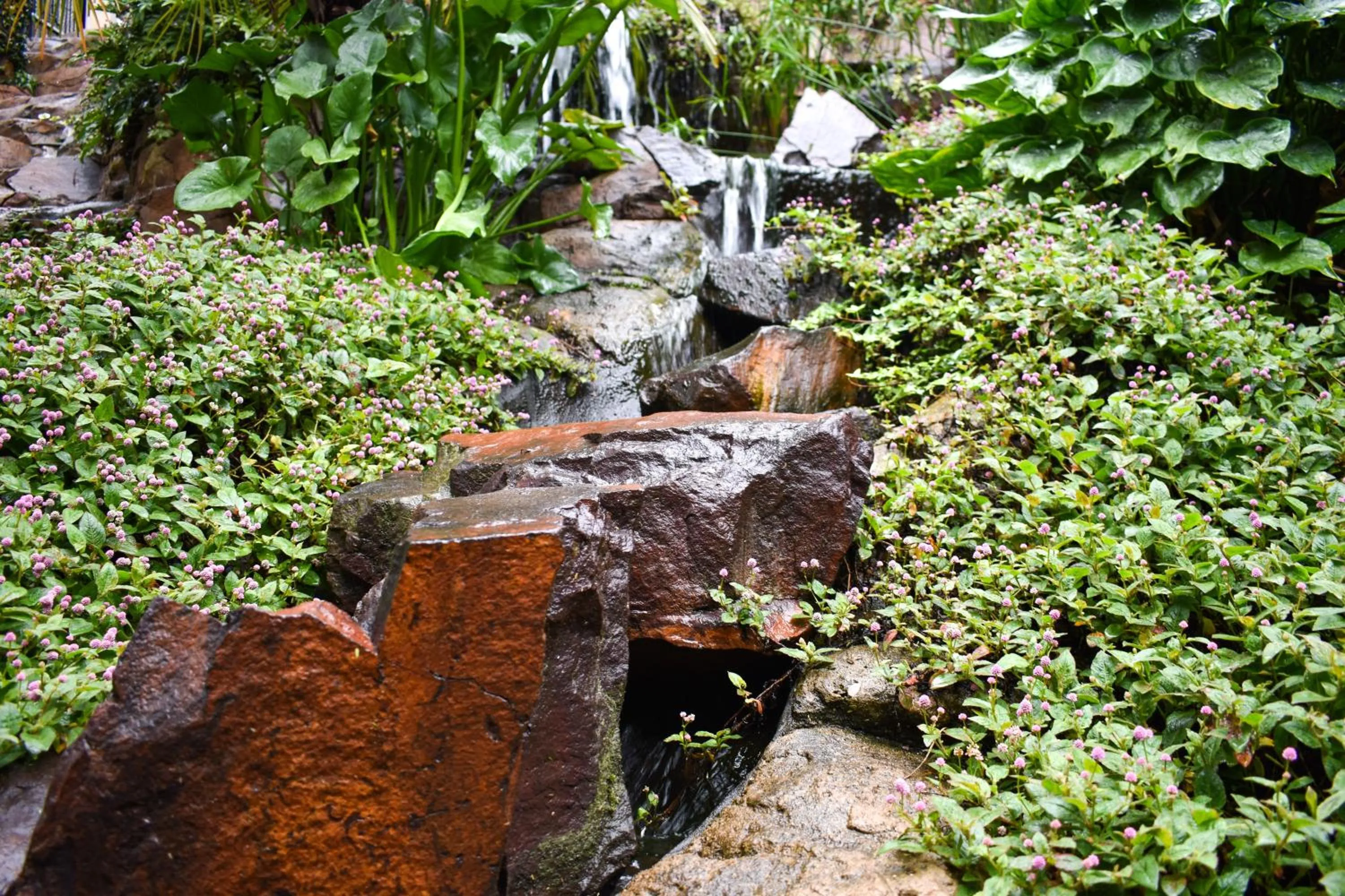 Natural landscape in Waterfalls Boutique Hotel