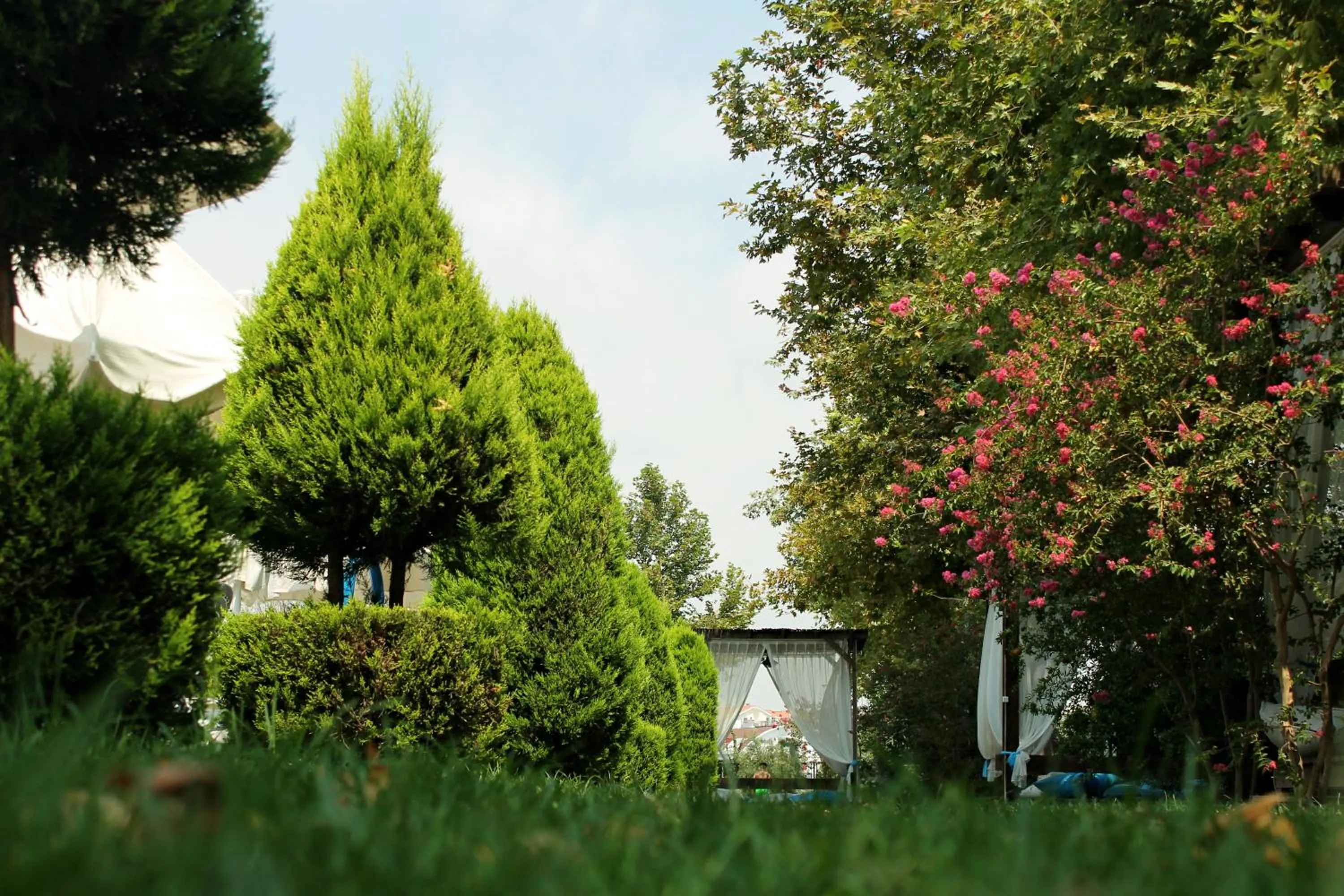 Garden in Irem Garden Hotel & Apartments